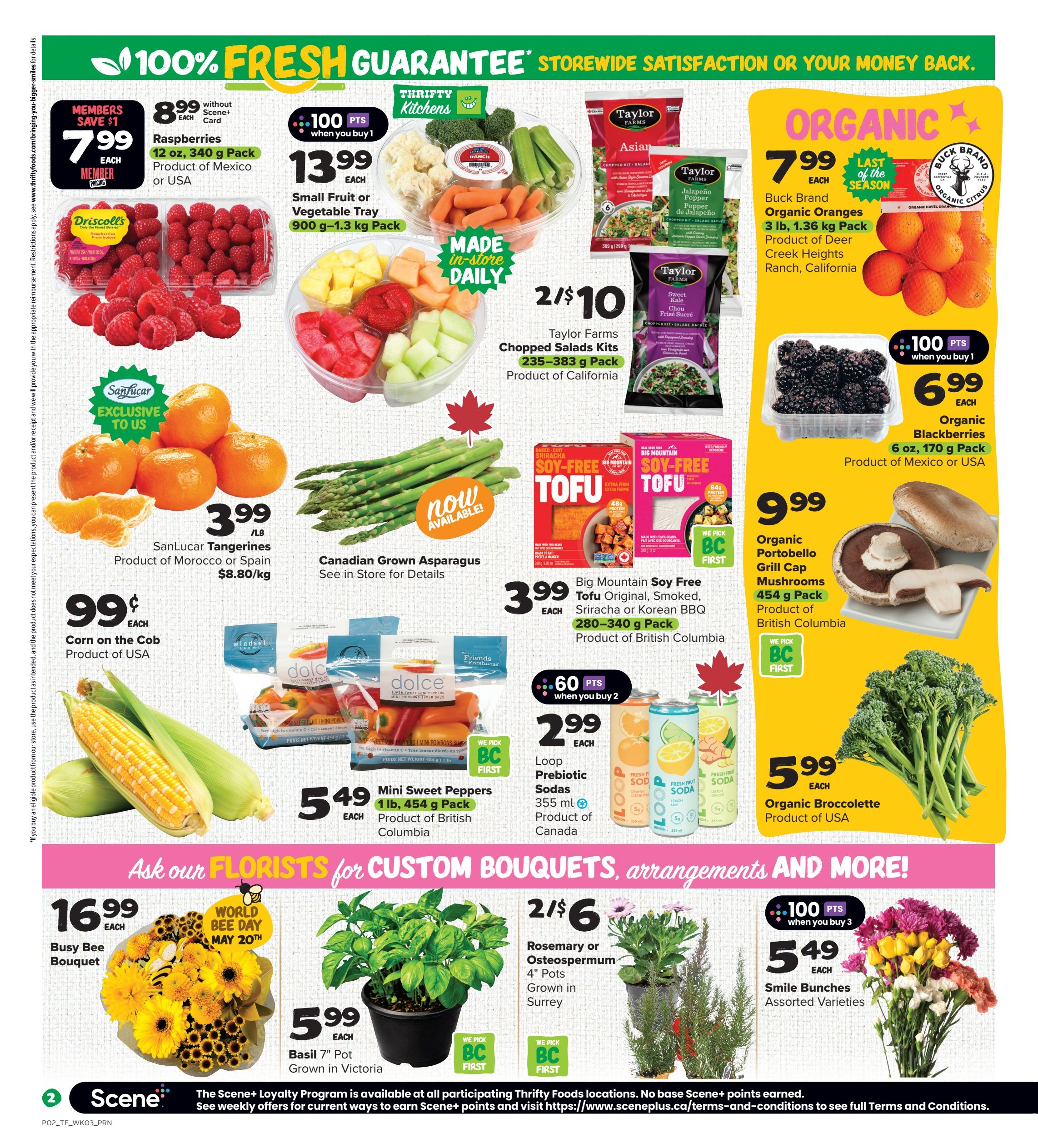 Thrifty Foods weekly flyer specials page 3. Featuring '100% Fresh Guarantee' and 'Storewide Satisfaction or Your Money Back'. Top section highlights: Members save $1 on Raspberries, 12 oz, 340 g pack for $7.99 each, product of Mexico or USA. Thrifty Kitchens Small Fruit or Vegetable Tray, 900 g-1.3 kg pack for $13.99 each, with 100 bonus Scene+ points when you buy 1. Taylor Farms Chopped Salad Kits, 235-383 g pack, 2 for $10, product of California. Organic Buck Brand Oranges, 3 lb, 1.36 kg pack for $7.99 each, last of the season, product of Deer Creek Heights Ranch, California. Organic Blackberries, 6 oz, 170 g pack for $6.99 each, with 100 bonus Scene+ points when you buy 1, product of Mexico or USA. SanLucar Tangerines, product of Morocco or Spain, for $3.99/lb or $8.80/kg. Canadian Grown Asparagus, see in store for details. Corn on the Cob, product of USA, for $0.99 each. Big Mountain Soy Free Tofu Original, Smoked, Sriracha or Korean BBQ, 280-340 g pack for $3.99 each, product of British Columbia. Organic Portobello Grill Cap Mushrooms, 454 g pack for $9.99 each, product of British Columbia. Mini Sweet Peppers, 1 lb, 454 g pack for $5.49 each, product of British Columbia. Loop Prebiotic Sodas, 355 ml, 2 for $2.99, product of Canada. Organic Broccolette, product of USA, for $5.99 each. Ask our Florists for custom bouquets, arrangements and more! Busy Bee Bouquet for $16.99 each. Rosemary or Osteospermum, 4' pots, grown in Surrey, 2 for $6. Basil 7' Pot, grown in Victoria, for $5.99 each. Smile Bunches Assorted Varieties for $5.49 each, with 100 bonus Scene+ points when you buy 3. Scene+ Loyalty Program information is available at all participating Thrifty Foods locations.