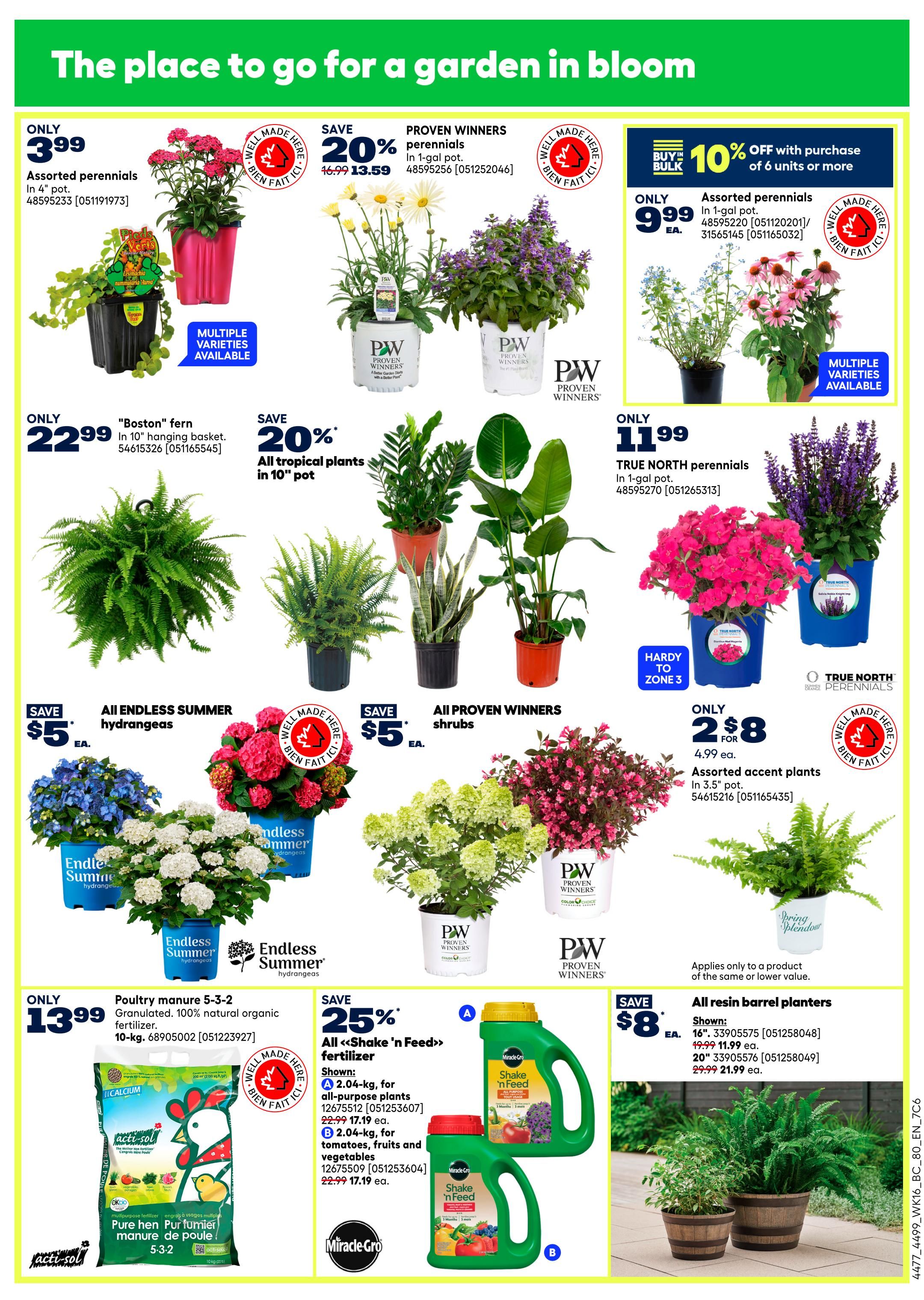 Rona Weekly Flyer Specials Page 9: Features a variety of garden plants and supplies. Offers include Assorted perennials in 4' pots for only $3.99, Proven Winners perennials in 1-gal pots for $13.59 (save 20%), and Assorted perennials in 1-gal pots for $9.99 each with a buy 6 or more deal for 10% off. Also available are 'Boston' ferns in hanging baskets for $22.99, and all tropical plants in 10' pots are 20% off. True North perennials in 1-gal pots are $11.99. Endless Summer hydrangeas are $5 off, and All Proven Winners shrubs are $5 off. Assorted accent plants in 3.5' pots are 2 for $8. Poultry manure 5-3-2 fertilizer, 10-kg, is $13.99. Miracle-Gro Shake 'n Feed fertilizer is 25% off, with 2.04-kg all-purpose plants for $17.19 and 2.04-kg for tomatoes, fruits and vegetables for $17.19. All resin barrel planters are $8 each, with 16' planters for $11.99 and 20' planters for $21.99.