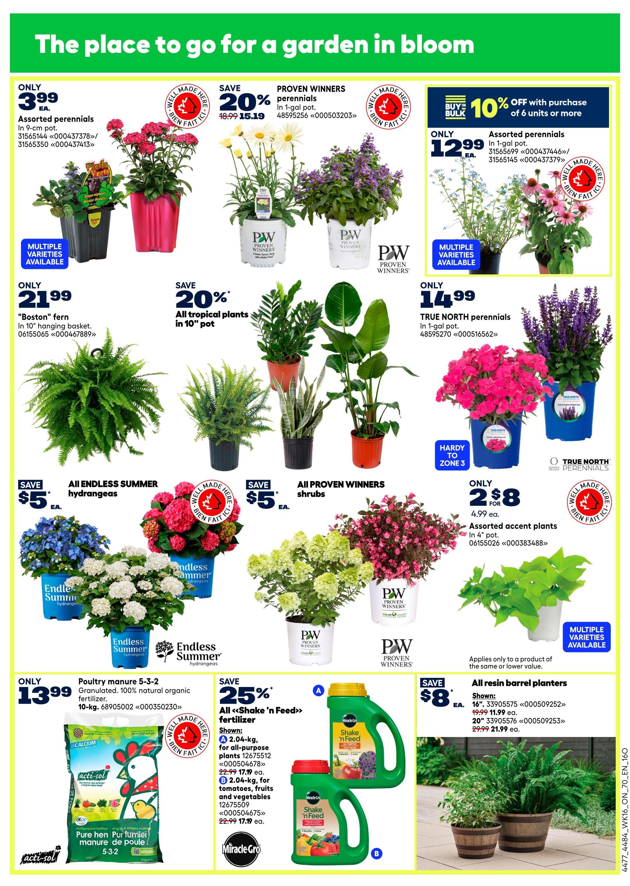 Rona Ontario Weekly Flyer Specials Page 9 features a wide selection of plants and gardening supplies. Featured items include assorted perennials in 9-cm pots for only $3.99 each, and Proven Winners perennials in 1-gal pots for 20% off, originally $18.99, now $15.19. Also available are 'Boston' ferns in a 10' hanging basket for only $21.99, and assorted tropical plants in 10' pots for 20% off. True North perennials in 1-gal pots are $12.99 each, with a buy bulk offer of 10% off when purchasing 6 units or more. Assorted accent plants in 4' pots are 2 for $8. Endless Summer hydrangeas are on sale for $5 off each. All Proven Winners shrubs are also $5 off each. Poultry manure 5-3-2 granulated fertilizer, 10-kg, is $13.99. 'Shake 'n Feed' fertilizer is 25% off, with a 2.04-kg all-purpose plant food shown at $17.19 (originally $22.99), and 2.04-kg for tomatoes, fruits and vegetables also at $17.19. All resin barrel planters are $8 each, with 16' planters at $11.99 (originally $19.99) and 20' planters at $21.99 (originally $29.99).