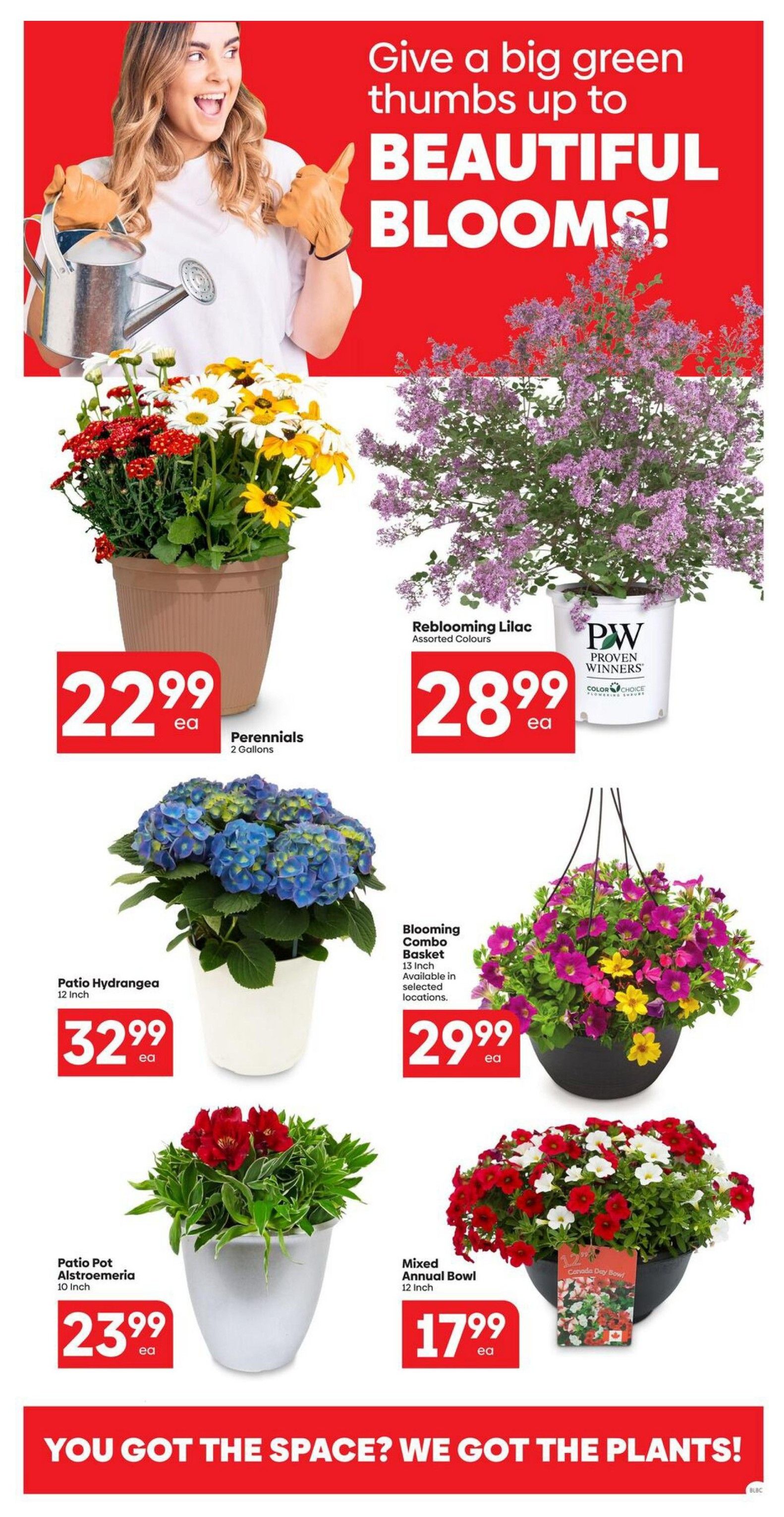 Buy-Low Foods weekly flyer specials page 4 features a variety of beautiful blooms for your garden. Get Perennials in 2 Gallons for $22.99 each, Reblooming Lilac in assorted colours for $28.99 each, and a 12-inch Patio Hydrangea for $32.99 each. Also available are a 10-inch Patio Pot Alstroemeria for $23.99 each, a 15-inch Blooming Combo Basket in selected locations for $29.99 each, and a 12-inch Mixed Annual Bowl for $17.99 each. The page tagline reads 'Give a big green thumbs up to BEAUTIFUL BLOOMS!' and 'YOU GOT THE SPACE? WE GOT THE PLANTS!