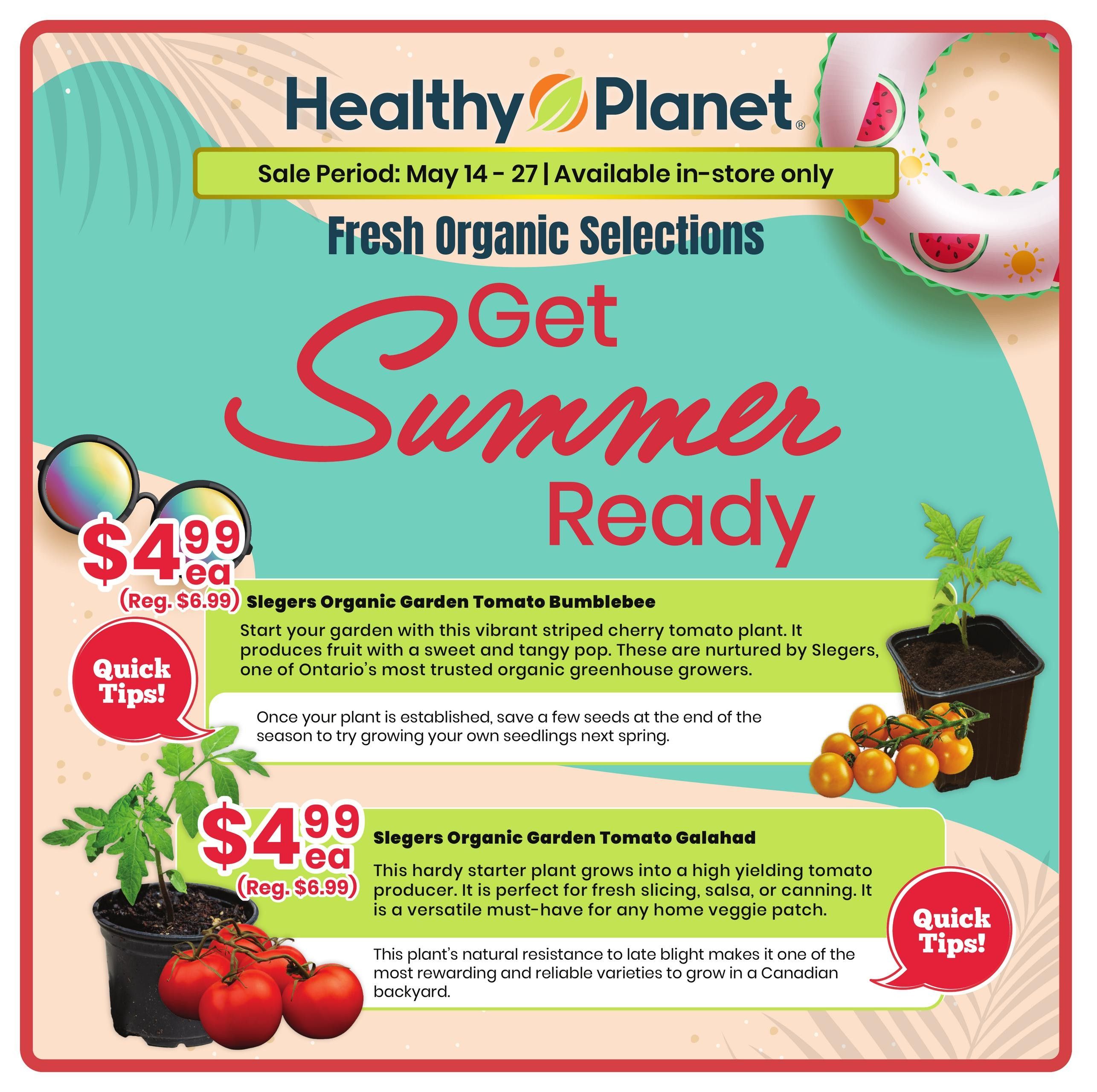 Healthy Planet flyer specials for May 14-27, featuring fresh organic selections to get summer ready. Includes Slegers Organic Garden Tomato Bumblebee plants for $4.99 each (regularly $6.99), described as a vibrant striped cherry tomato plant nurtured by Slegers, one of Ontario's most trusted organic greenhouse growers. Also features Slegers Organic Garden Tomato Galahad plants for $4.99 each (regularly $6.99), a high-yielding tomato producer perfect for slicing, salsa, or canning, with natural resistance to late blight, making it a rewarding variety for Canadian backyards. Both items include 'Quick Tips!' sections.