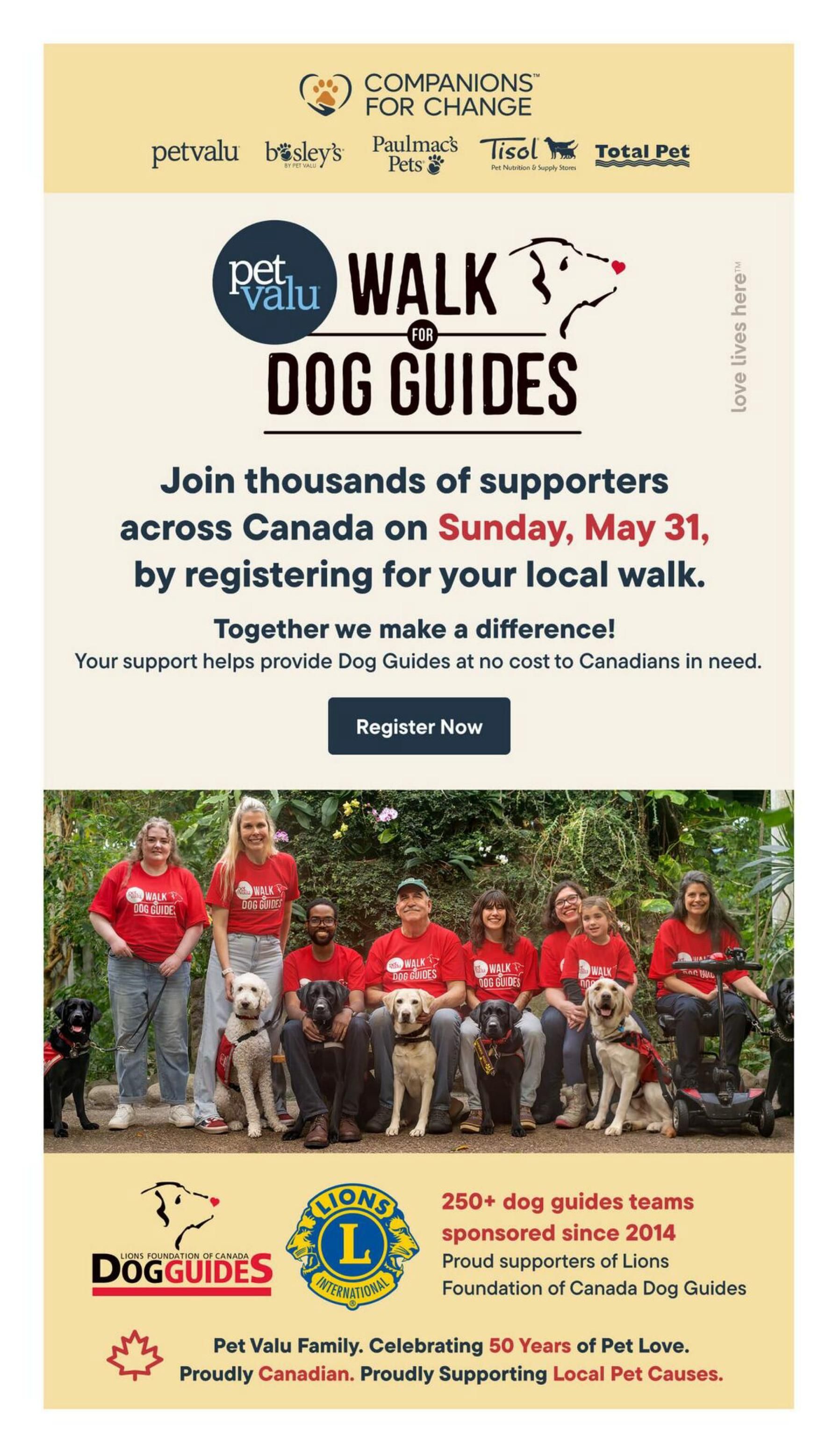 Total Pet flyer page promoting the Walk for Dog Guides event. The page features the Pet Valu logo and the Companions for Change initiative, alongside logos for Bosley's, Paulmac's Pets, Tisol, and Total Pet. The main message encourages Canadians to join thousands of supporters across Canada on Sunday, May 31, by registering for their local walk. A 'Register Now' button is prominently displayed. Below this, a group of people wearing 'Walk for Dog Guides' t-shirts pose with several dogs. The bottom section highlights the Lions Foundation of Canada Dog Guides, noting that over 250 dog guide teams have been sponsored since 2014, with proud support from the Lions Foundation of Canada. It also celebrates Pet Valu Family, 50 Years of Pet Love, and proudly supporting local pet causes.