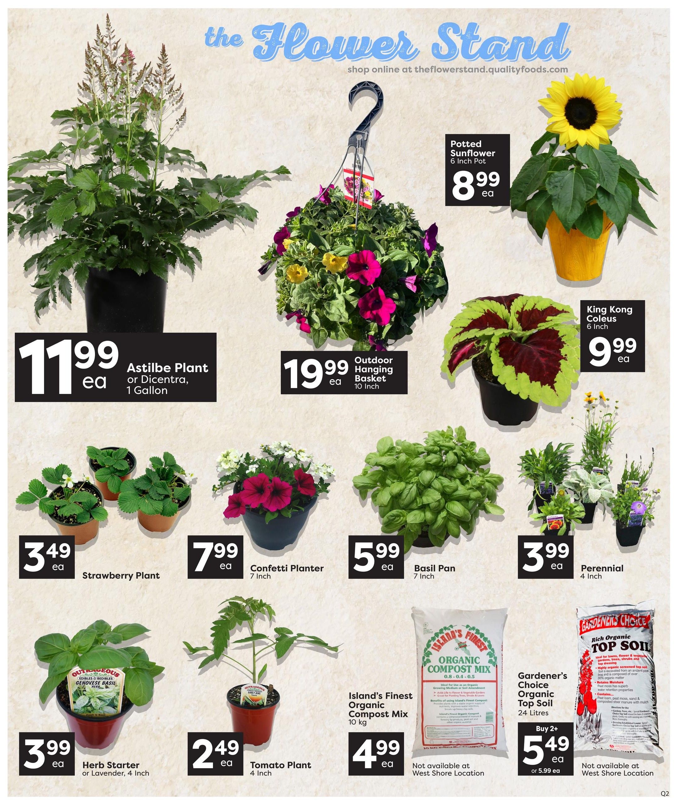Quality Foods weekly flyer specials page 3 features The Flower Stand with various plants and gardening supplies. Featured items include Astilbe Plant or Dicentra, 1 Gallon for $11.99 each, Potted Sunflower, 6 Inch Pot for $8.99 each, and an Outdoor Hanging Basket, 10 Inch for $19.99 each. Also available are Strawberry Plants for $3.49 each, Confetti Planters, 7 Inch for $7.99 each, Basil Pans, 7 Inch for $5.99 each, and Perennials, 4 Inch for $3.99 each. Herb Starters or Lavender, 4 Inch are $3.99 each, and Tomato Plants, 4 Inch are $2.49 each. Gardening supplies include Island's Finest Organic Compost Mix, 10 kg for $4.99 each, and Gardener's Choice Organic Top Soil, 24 Litres, on sale Buy 2+ for $5.49 each or $5.99 each. Some items are not available at the West Shore Location.