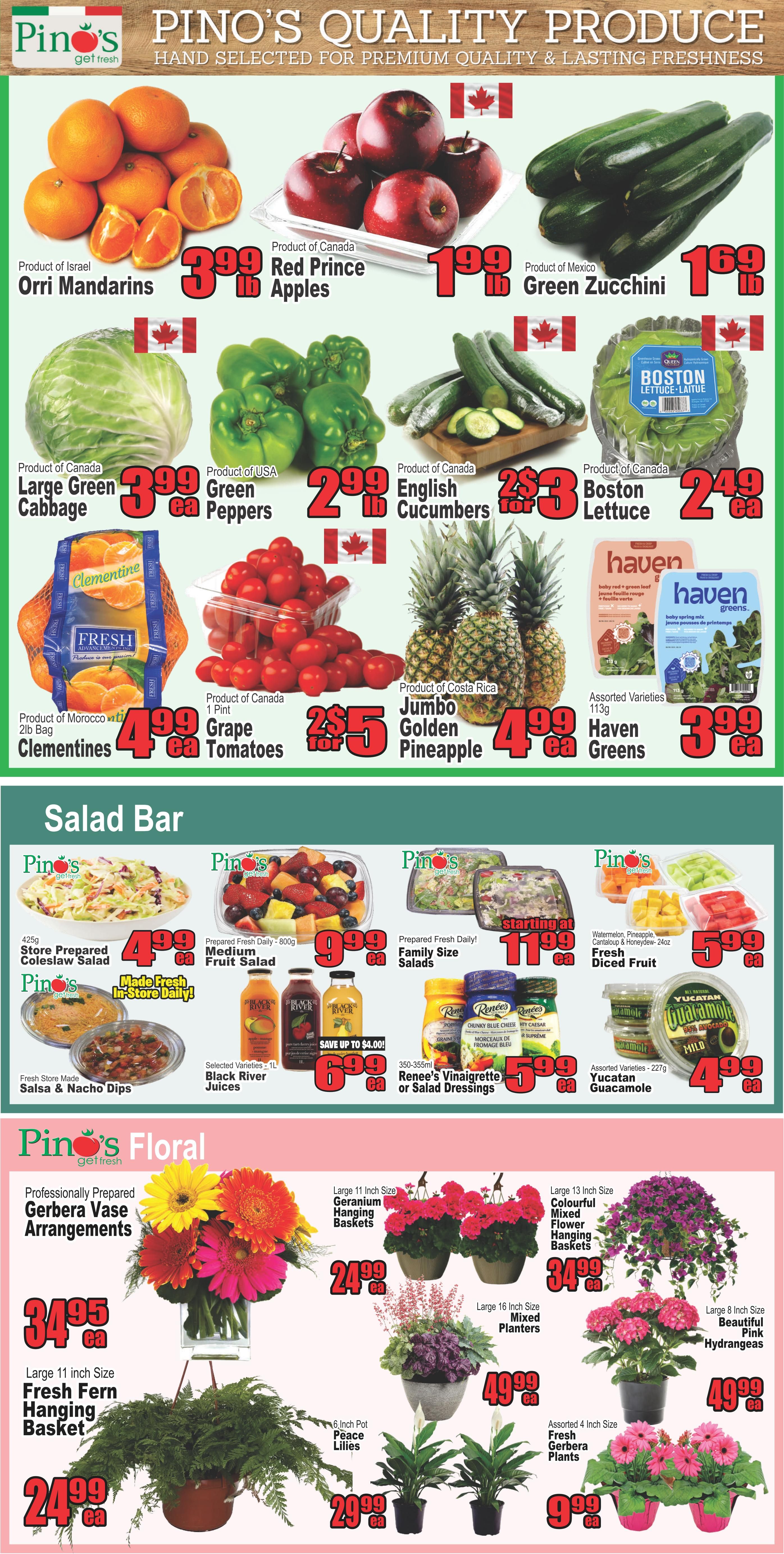 Pino's Get Fresh weekly flyer specials page 2 features a wide selection of quality produce, salad bar items, and floral arrangements. Produce highlights include Orri Mandarins from Israel for $3.99 lb, Red Prince Apples from Canada for $1.99 lb, and Green Zucchini from Mexico for $1.69 lb. Also available are Large Green Cabbage from Canada for $3.99 ea, Green Peppers from the USA for $2.99 lb, English Cucumbers from Canada for 2 for $3, and Boston Lettuce from Canada for $2.49 ea. Clementines from Morocco are $4.99 for a 2lb bag, Grape Tomatoes from Canada are 2 for $5, Jumbo Golden Pineapples from Costa Rica are $4.99 ea, and Assorted Haven Greens are $3.99 ea. The Salad Bar offers Store Prepared Coleslaw Salad for $4.99 ea, Medium Fruit Salad for $9.99 ea, Family Size Salads starting at $11.99 ea, Fresh Diced Fruit for $5.99 ea, Fresh Store Made Salsa & Nacho Dips, Selected Varieties of Black River Juices for $6.99 ea (save up to $4.00), and Renee's Vinaigrette or Salad Dressings for $5.99 ea. The Floral section includes Professionally Prepared Gerbera Vase Arrangements for $34.95 ea, Large 11 inch Fresh Fern Hanging Baskets for $24.99 ea, Large 11 inch Geranium Hanging Baskets for $24.99 ea, Large 13 inch Colourful Mixed Flower Hanging Baskets for $34.99 ea, Large 16 inch Mixed Planters for $49.99 ea, 6 inch Pot Peace Lilies for $29.99 ea, Assorted 4 inch Fresh Gerbera Plants for $9.99 ea, and Large 8 inch Beautiful Pink Hydrangeas for $49.99 ea.