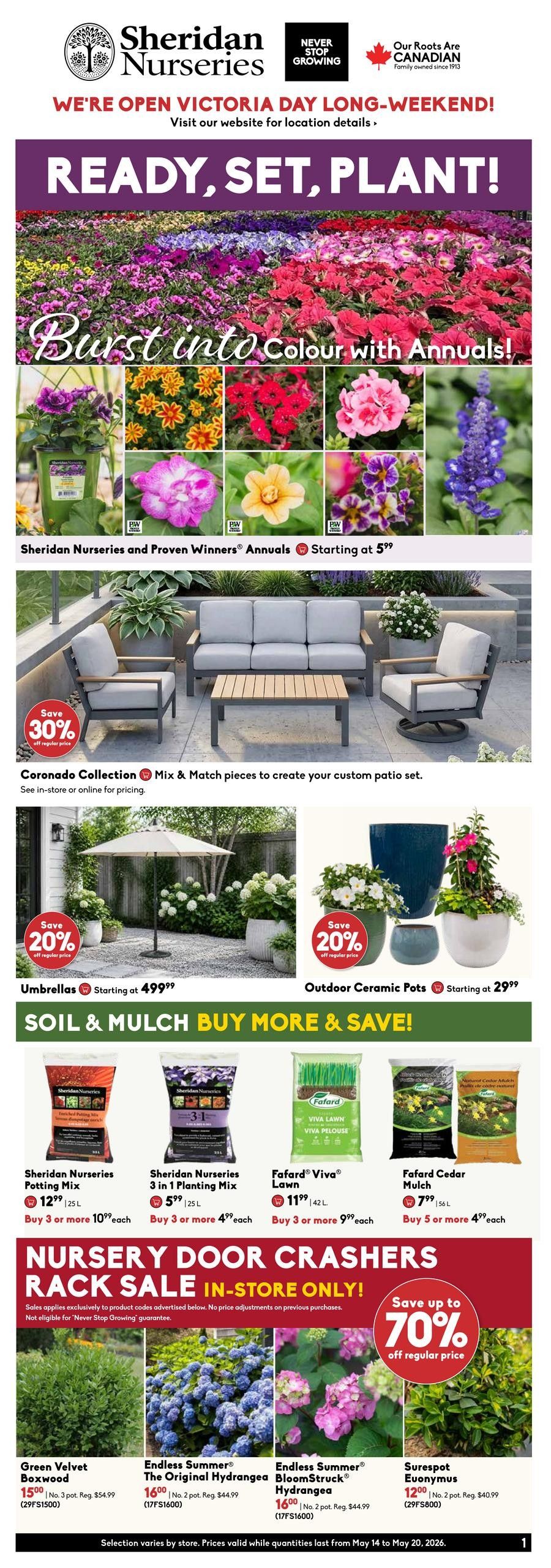 Sheridan Nurseries weekly flyer specials. Page 1 of 5. Featuring 'Ready, Set, Plant!' with a wide selection of annuals starting at $5.99. Outdoor living section includes the Coronado Collection patio furniture with a 'Save 30% off regular price' offer. Umbrellas are starting at $49.99 and Outdoor Ceramic Pots starting at $29.99. 'Soil & Mulch Buy More & Save!' section offers Sheridan Nurseries Potting Mix for $12.99 (25 L) or 3 for $10.99 each, Sheridan Nurseries 3 in 1 Planting Mix for $5.99 (25 L) or 3 for $4.99 each, Fafard Viva Lawn for $11.99 (42 L) or 3 for $9.99 each, and Fafard Cedar Mulch for $7.99 (56 L) or 5 for $4.99 each. 'Nursery Door Crashers Rack Sale In-Store Only!' features Green Velvet Boxwood for $15.00 (No. 3 pot, Reg. $54.99), Endless Summer The Original Hydrangea for $16.00 (No. 2 pot, Reg. $44.99), Endless Summer BloomStruck Hydrangea for $16.00 (No. 2 pot, Reg. $44.99), and SureSpot Euonymus for $12.00 (No. 2 pot, Reg. $40.99). Save up to 70% off regular price on select items. Prices valid from May 14 to May 20, 2026, while quantities last.