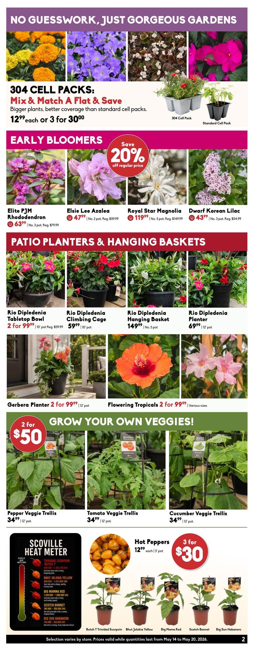 Sheridan Nurseries weekly flyer specials page 2. Features 'No Guesswork, Just Gorgeous Gardens' with 304 cell packs available for a Mix & Match Flat & Save deal at $12.99 each or 3 for $30.00. Early Bloomers include Elite PJM Rhododendron at $63.99 (reg. $79.99), Elsie Lee Azalea at $47.99 (reg. $59.99), Royal Star Magnolia at $119.99 (reg. $149.99), and Dwarf Korean Lilac at $43.99 (reg. $54.99), with a 20% off regular price discount on early bloomers. Patio Planters & Hanging Baskets include Rio Dipledenia Tabletop Bowl at 2 for $99.99 (reg. $59.99 per pot), Rio Dipledenia Climbing Cage at $59.99 per pot, Rio Dipledenia Hanging Basket at $149.99 (reg. $5 pot), and Rio Dipledenia Planter at $69.99 per 12' pot. Gerbera Planter is 2 for $99.99 (12' pot) and Flowering Tropicals are 2 for $99.99 (various sizes). The 'Grow Your Own Veggies!' section offers Pepper Veggie Trellis, Tomato Veggie Trellis, and Cucumber Veggie Trellis at $34.99 each (12' pot), with a special offer of 2 for $50. Hot Peppers are available at 3 for $30 (reg. $12.99 each, 5' pot), featuring varieties like Butch T Trinidad Scorpion, Bhut Jolokia Yellow, Big Mama Red, Scotch Bonnet, and Big Sun Habanero. Selection varies by store. Prices valid while quantities last from May 14 to May 20, 2026.