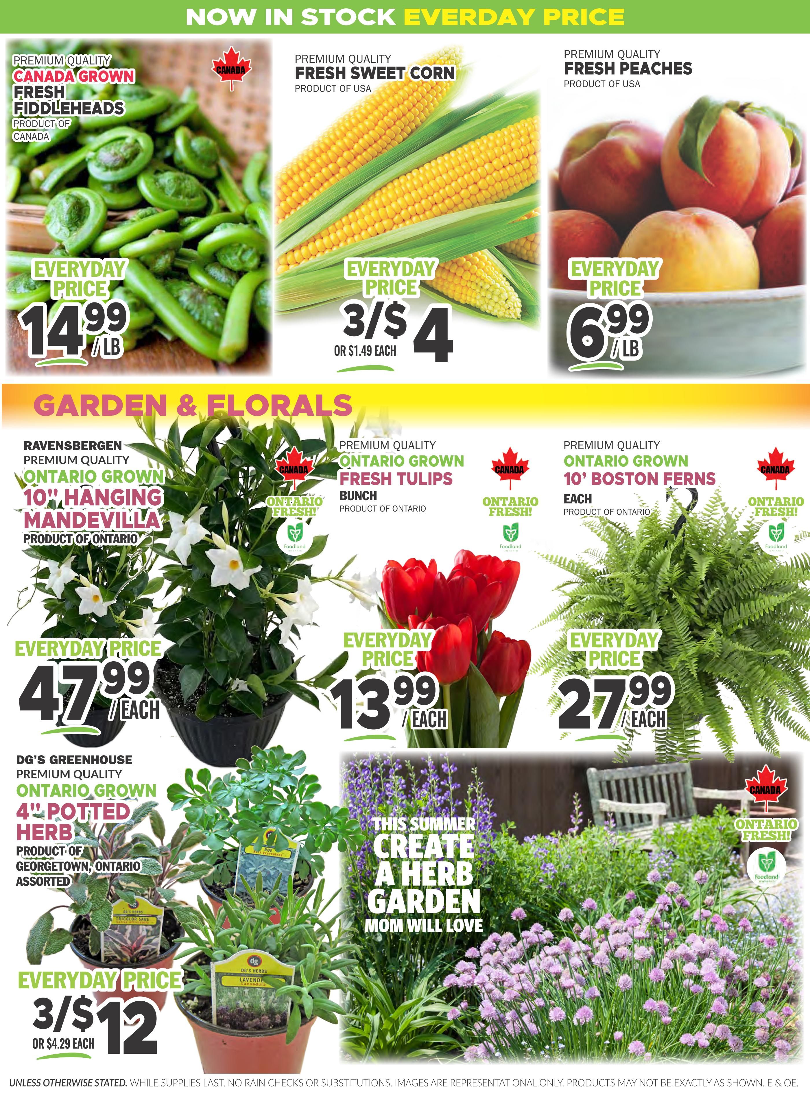 Foodsmiths - Weekly Flyer Specials - Valid from May 14 to 21, 2026 - Page 4