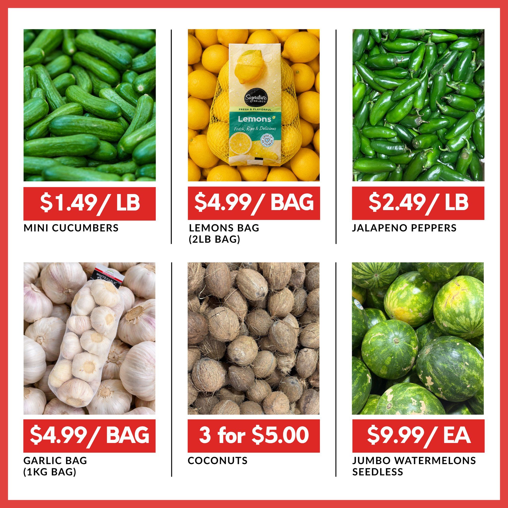 Basha Foods International weekly flyer specials, page 8. Featured produce includes Mini Cucumbers for $1.49 per pound, Signature Select Lemons in a 2lb bag for $4.99, and Jalapeno Peppers for $2.49 per pound. Also available are Garlic Bags (1kg) for $4.99, Coconuts at 3 for $5.00, and Jumbo Seedless Watermelons for $9.99 each.