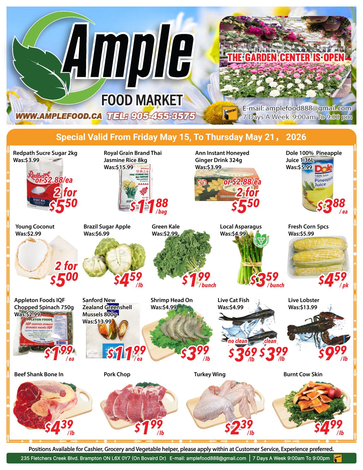 Ample Food Market weekly flyer specials valid from Friday, May 15 to Thursday, May 21, 2026. Featured items include Redpath Sucre Sugar 2kg for $5.50 (2 for $5.50), Royal Grain Brand Thai Jasmine Rice 8kg for $11.88 per bag, and Ann Instant Honeyed Ginger Drink 324g for $5.50 (2 for $5.50). Also available are Dole 100% Pineapple Juice 1.36L for $3.88 each, Young Coconut for $5.00 (2 for $5.00), Brazil Sugar Apple for $4.59 per lb, Green Kale for $1.99 per bunch, Local Asparagus for $3.59 per bunch, and Fresh Corn 5pcs for $4.59 per pack. Meat and seafood specials include Appleton Foods IQF Chopped Spinach 750g for $1.99 each, Sanford New Zealand Greenshell Mussels 800g for $11.99 per ea, Shrimp Head On for $3.99 per lb, Live Cat Fish for $3.69 per lb (no clean) and $3.99 per lb (clean), Live Lobster for $9.99 per lb, Beef Shank Bone In for $4.39 per lb, Pork Chop for $1.99 per lb, Turkey Wing for $2.39 per lb, and Burnt Cow Skin for $4.99 per lb. The flyer also highlights that the Garden Center is open.