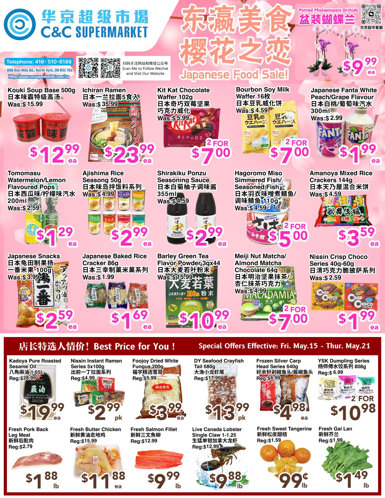C&C Supermarket Weekly Flyer Specials featuring a Japanese Food Sale. Featured items include Kouki Soup Base 500g for $12.99, Ichiran Ramen for $23.99, Kit Kat Chocolate Waffer 102g 2 for $7.00, Bourbon Soy Milk Waffer 2 for $7.00, and Japanese Fanta White Peach/Grape Flavour 300ml for $1.99. Also available are Tomomasu Watermelon/Lemon Flavoured Pops 200ml for $1.29, Ajishima Rice Seasoning 50g for $2.99, Shirakiku Ponzu Seasoning Sauce 355ml for $2.99, Hagaromo Miso Simmered Fish/Seasoned Fish 110g 2 for $5.00, and Amanoya Mixed Rice Crackers 144g for $3.59. Additional Japanese snacks include Japanese Snacks for $2.59, Japanese Baked Rice Cracker 86g for $1.69, Barley Green Tea Flavor Powder 3gx44 for $10.99, and Meiji Nut Matcha/Almond Matcha Chocolate 64g 2 for $7.00. Nissin Crisp Choco Series 40g-60g is on sale for $1.99. The flyer also highlights 'Best Price for You!' specials including Kadoya Pure Roasted Sesame Oil for $19.99, Nissin Instant Ramen Series 5x100g for $2.99 pk, Fojoo Dried White Fungus 200g for $3.99 ea, DY Seafood Crayfish Tail 680g for $13.99 pk, Frozen Silver Carp Head Series 640g for $4.98 ea, and YSK Dumpling Series 808g 2 for $10.98. Fresh produce and meats include Fresh Pork Back Leg Meat for $1.88 lb, Fresh Butter Chicken for $11.88 ea, Fresh Salmon Fillet for $9.99 lb, Live Canada Lobster Single Claw 1-1.25 for $9.88 lb, Fresh Sweet Tangerine for $0.99, and Fresh Gai Lan for $1.49.