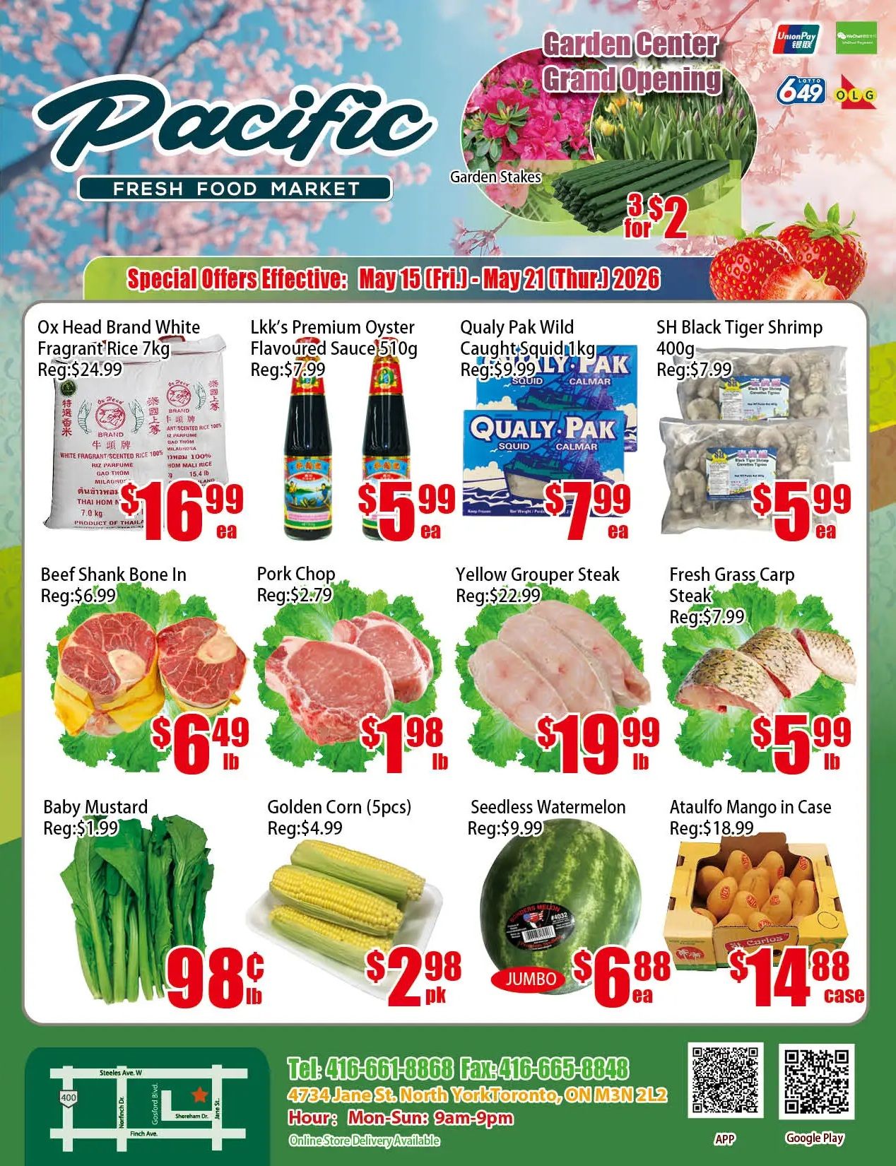 Pacific Fresh Food Market weekly flyer specials from May 15 to May 21, 2026. Featured items include Ox Head Brand White Fragrant Rice 7kg for $16.99 (regularly $24.99), Lkk's Premium Oyster Flavoured Sauce 510g for $5.99 (regularly $7.99), Qualy Pak Wild Caught Squid 1kg for $7.99 (regularly $9.99), and SH Black Tiger Shrimp 400g for $5.99 (regularly $7.99). Meat specials include Beef Shank Bone In for $6.49 per lb (regularly $6.99) and Pork Chop for $1.98 per lb (regularly $2.79). Seafood offers feature Yellow Grouper Steak for $19.99 per lb (regularly $22.99) and Fresh Grass Carp Steak for $5.99 per lb (regularly $7.99). Fresh produce includes Baby Mustard for $0.98 per lb (regularly $1.99), Golden Corn (5pcs) for $2.98 per pack (regularly $4.99), Seedless Watermelon for $6.88 each (regularly $9.99), and Ataulfo Mango in Case for $14.88 per case (regularly $18.99). The flyer also highlights a Garden Center Grand Opening with Garden Stakes at 3 for $2.