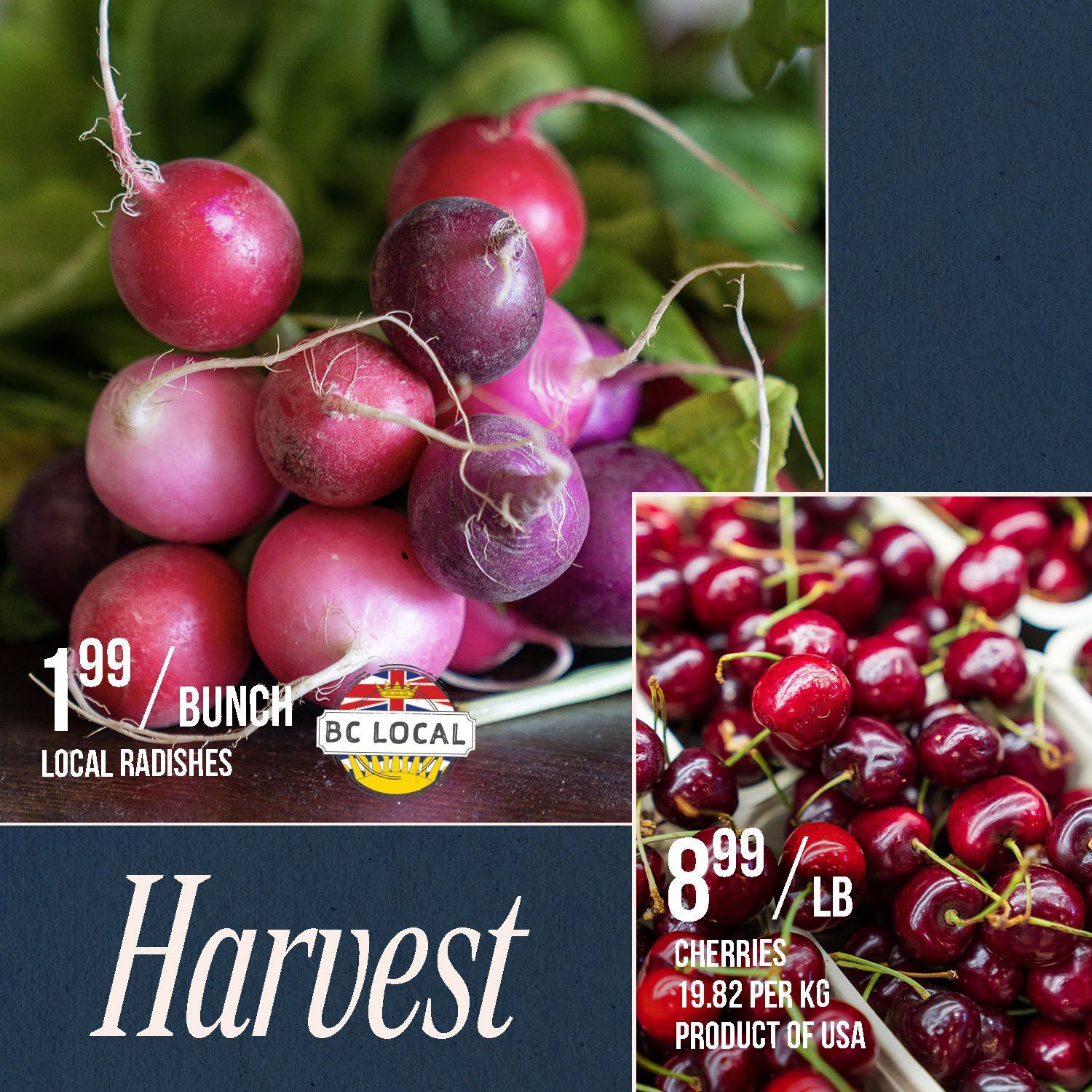 Stong's Market flyer page 3 features a harvest theme with fresh produce. Local radishes are priced at $1.99 per bunch and are a BC Local product. Fresh cherries are available for $8.99 per pound, with a price of $19.82 per kg. The cherries are a product of the USA.