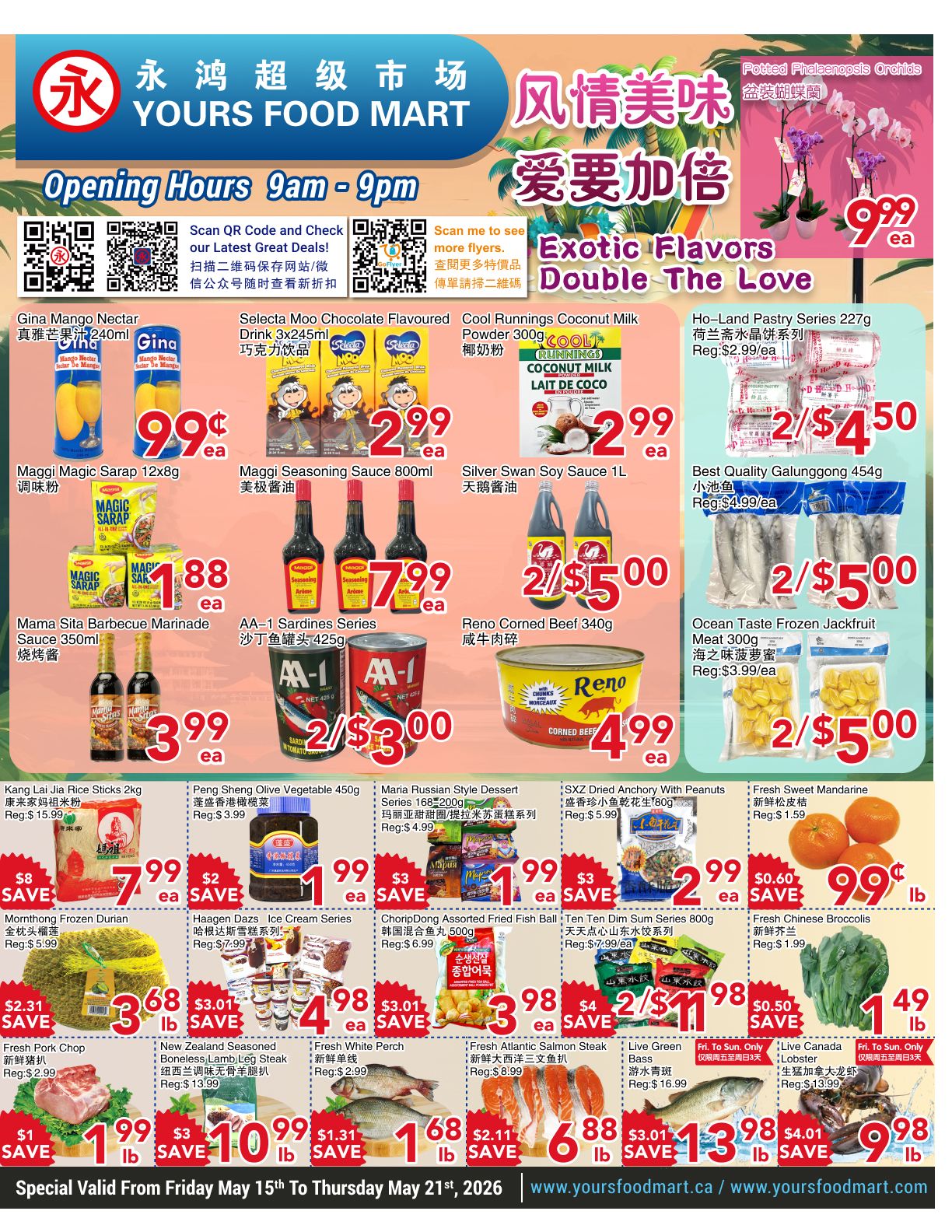 Yours Food Mart weekly flyer specials page 1. Featured items include Gina Mango Nectar for $0.99 each, Selecta Moo Chocolate Flavoured Drink 3x245ml for $2.99 each, and Cool Runnings Coconut Milk Powder 300g for $2.99 each. Also available are Ho-Land Pastry Series 227g for 2 for $4.50 and Best Quality Galunggong 454g for 2 for $5.00. Maggi Magic Sarap 12x8g is $1.88 each, Maggi Seasoning Sauce 800ml is $7.99 each, and Silver Swan Soy Sauce 1L is 2 for $5.00. Mama Sita Barbecue Marinade Sauce 350ml is $3.99 each, AA-1 Sardines Series 425g is 2 for $3.00, and Reno Corned Beef 340g is $4.99 each. Ocean Taste Frozen Jackfruit Meat 300g is 2 for $5.00. Kang Lai Jia Rice Sticks 2kg is $7.99 with a $8 savings, Peng Sheng Olive Vegetable 450g is $1.99 with a $2 savings, Maria Russian Style Dessert Series 168-200g is $1.99 with a $3 savings, and SXZ Dried Anchovy With Peanuts 80g is $2.99 with a $3 savings. Fresh Sweet Mandarin is $0.99lb with a $0.60 savings. Momthong Frozen Durian is $3.68lb with a $2.31 savings. Haagen Dazs Ice Cream Series is $4.98 each with a $3.01 savings. ChoripDong Assorted Fried Fish Ball 500g is $3.98 each with a $3.01 savings. Ten Ten Dim Sum Series 800g is $7.99 each with a $4 savings. Fresh White Perch is $1.99lb with a $0.50 savings. Fresh Atlantic Salmon Steak is $1.49lb. Live Green Bass is $6.88lb with a $2.11 savings. Live Canada Lobster is $9.98lb with a $4.01 savings. Special valid from Friday May 15th to Thursday May 21st, 2026.