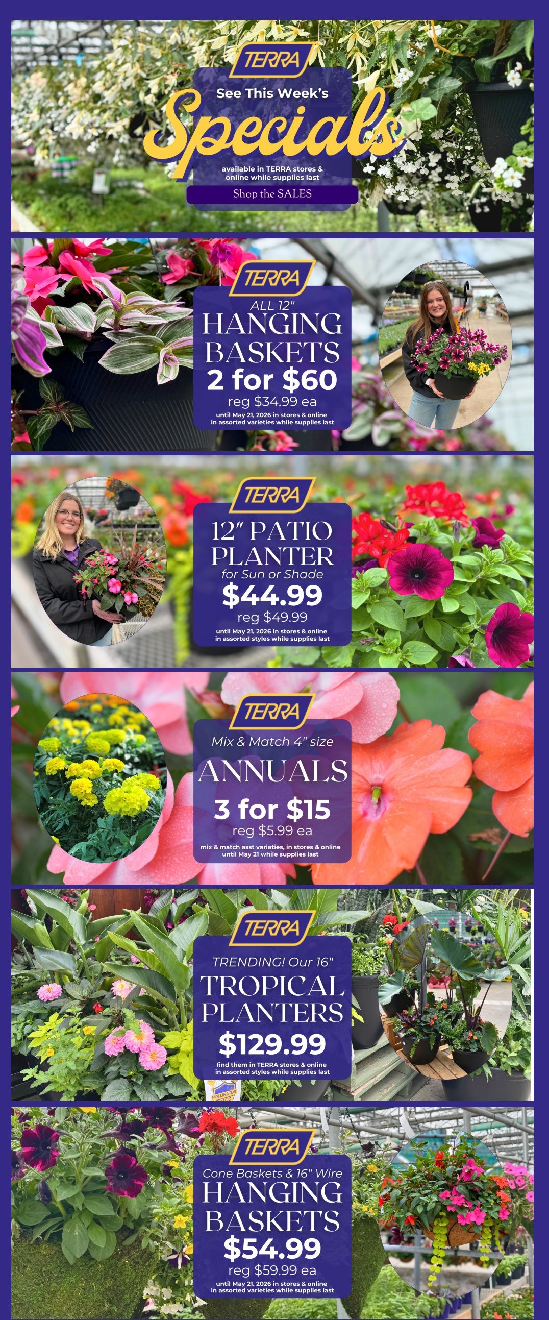 TERRA Weekly Flyer Specials. See this week's specials available in TERRA stores & online while supplies last. All 12' Hanging Baskets are 2 for $60, regularly $34.99 each. 12' Patio Planters for Sun or Shade are $44.99, regularly $49.99. Mix & Match 4' size Annuals are 3 for $15, regularly $5.99 each. Trending! Our 16' Tropical Planters are $129.99. Cone Baskets & 16' Wire Hanging Baskets are $54.99, regularly $59.99 each. All offers valid until May 21, 2026, in stores and online in assorted varieties and styles while supplies last.