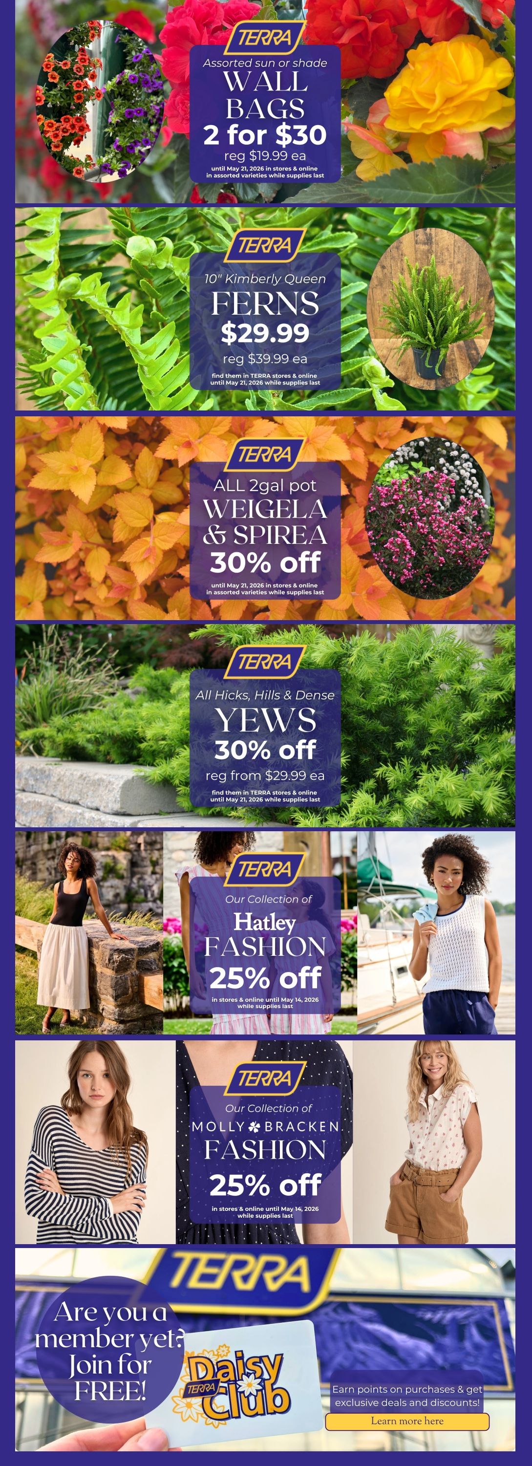 TERRA weekly flyer specials page 2. Assorted sun or shade Wall Bags are 2 for $30, regularly $19.99 each, available until May 21, 2026. 10' Kimberly Queen Ferns are $29.99, regularly $39.99 each, available until May 21, 2026. All 2-gallon pot Weigela & Spirea plants are 30% off, available until May 21, 2026. Hicks, Hills & Dense Yews are 30% off, starting from $29.99 each, available until May 21, 2026. Our Collection of Hatley Fashion is 25% off in stores & online until May 14, 2026. Our Collection of Molly Bracken Fashion is 25% off in stores & online until May 14, 2026. Join the TERRA Daisy Club for free to earn points and get exclusive deals and discounts. Learn more here.