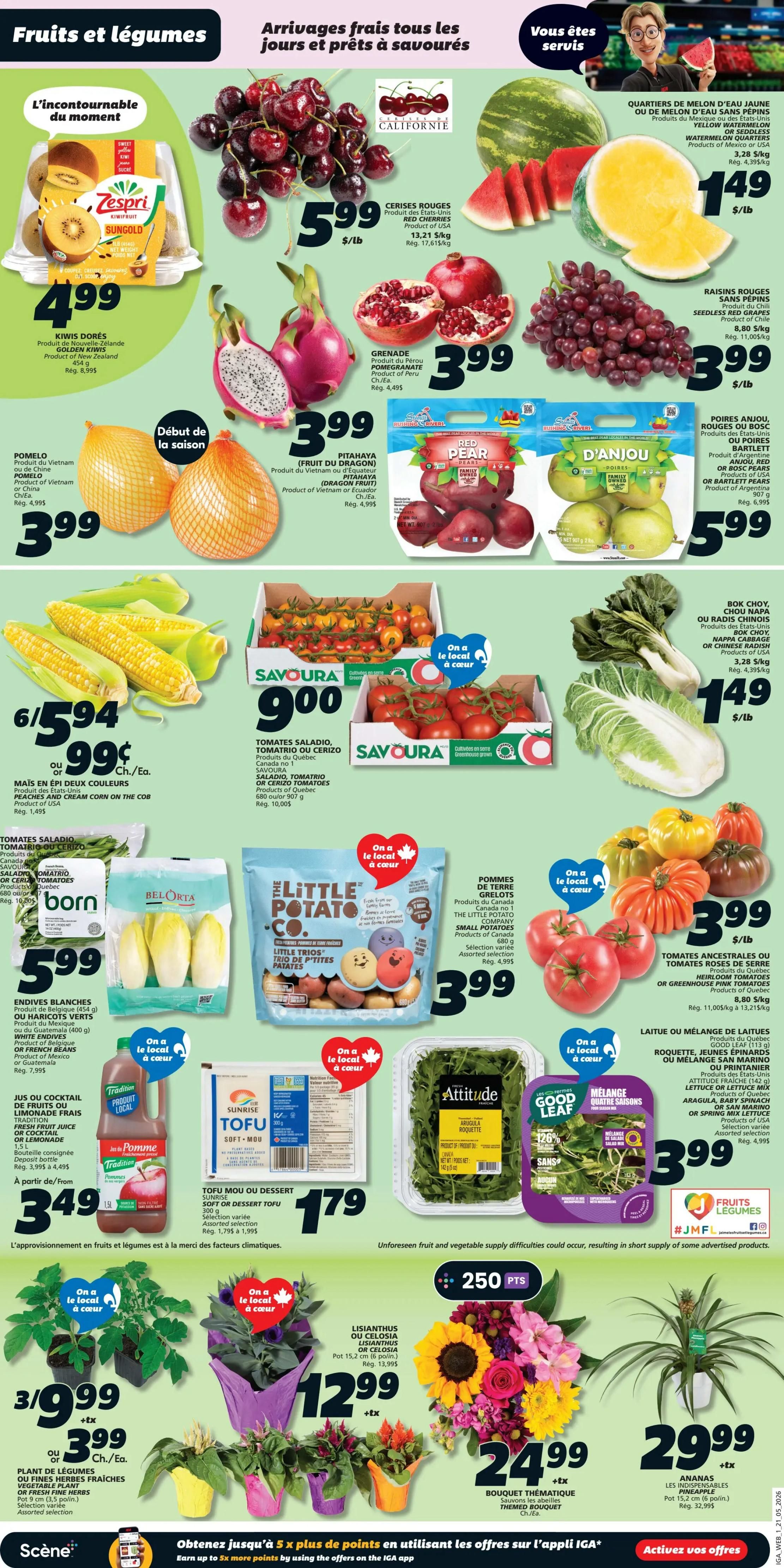 IGA Weekly Flyer Specials Page 3 features a wide selection of fresh fruits and vegetables. Highlights include Zespri Sungold golden kiwis for $4.99, California red cherries for $5.99/lb, and seedless red grapes for $3.99/lb. Other featured fruits are pomegranates and pitahaya (dragon fruit) at $3.99 each, and yellow watermelon for $1.49/lb. Pears, including Bartlett and Anjou varieties, are available for $5.99. Savoura brand salad tomatoes or heirloom tomatoes are $9.00 for 680g. Fresh corn on the cob is 6 for $5.94 or $0.99 each. Bok choy or Chinese cabbage is $1.49/lb. The flyer also showcases The Little Potato Company's small potatoes for $3.99. White endives or French beans are $5.99. Sunrise brand soft or dessert tofu is $1.79 for 300g. Fresh fruit juice or lemonade is $3.49/L. Attitude arugula or roquette is featured. Good Leaf salad mix is $3.99. Plants and flowers are also on sale, including assorted fresh herbs for $3.99, lisianthus or celosia plants for $12.99, themed bouquets for $24.99, and pineapple plants for $29.99. Customers can earn 250 bonus points with select purchases.