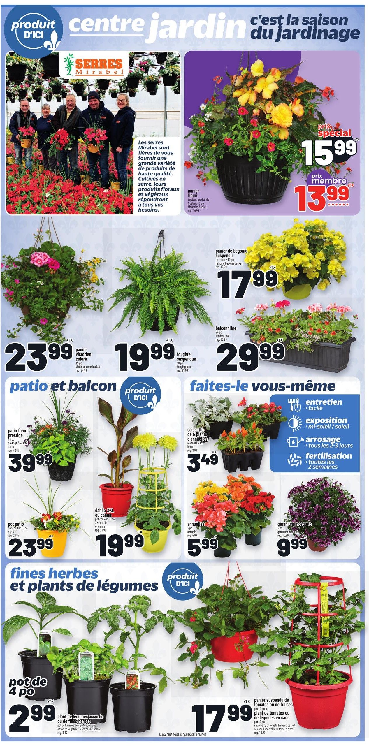 Metro Quebec weekly flyer specials page 10 features a wide selection of garden products. Highlighted are hanging baskets from Serres Mirabel, with a special member price of $13.99 for a 10-inch blooming basket (regularly $16.99). Other featured items include a 12-inch Victorian coloured basket for $23.99, a 10-inch hanging fern for $19.99, and a 10-inch hanging begonia basket for $17.99. For patio and balcony gardening, find a 14-inch Prestige flower patio pot for $39.99, a 10-inch patio pot for $23.99, and a large XXL Canna dahlia for $19.99. The 'Do It Yourself' section showcases a 6-plant annual bench for $3.49 and 5-packs of annuals for $5.99. Also available are 5-inch mosquito geraniums for $9.99. For herbs and vegetable plants, a 4-inch pot is priced at $2.99, and assorted vegetable or herb plants are $17.99. A strawberry or tomato hanging basket plant for cages is also $17.99.