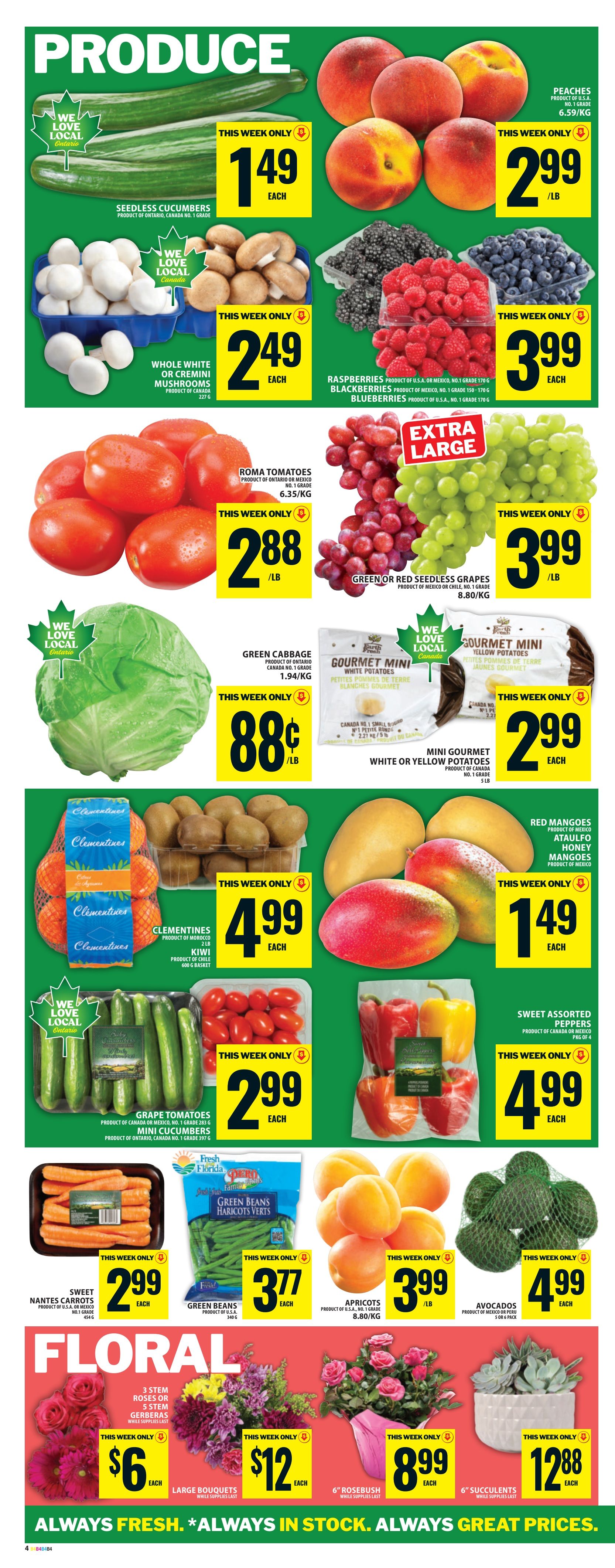 Food Basics weekly flyer specials page 7 features a wide selection of fresh produce. On sale are Seedless Cucumbers for $1.49 each, Peaches for $2.99/lb, and Whole White or Cremini Mushrooms for $2.49 each. Also available are Raspberries, Blackberries, and Blueberries for $3.99 each. Roma Tomatoes are $2.88/lb, and Extra Large Green or Red Seedless Grapes are $3.99/lb. Green Cabbage is on special for $0.88/lb, and Mini Gourmet White or Yellow Potatoes are $2.99 each. Clementines are $4.99 each, and Kiwi are also $4.99 each. Grape Tomatoes are $2.99 each, and Mini Cucumbers are $2.99 each. Sweet Assorted Peppers are $4.99 for a pack of 4. Sweet Nantes Carrots are $2.99 each, Green Beans are $3.77 each, and Apricots are $3.99/lb. Avocados are $4.99 each. The flyer also highlights floral arrangements, including 3 stem Roses or Gerbera bouquets for $6 each, Large Bouquets for $12 each, 6' Rosebush for $8.99 each, and 6' Succulents for $12.88 each. The flyer emphasizes 'Always Fresh. Always in Stock. Always Great Prices.