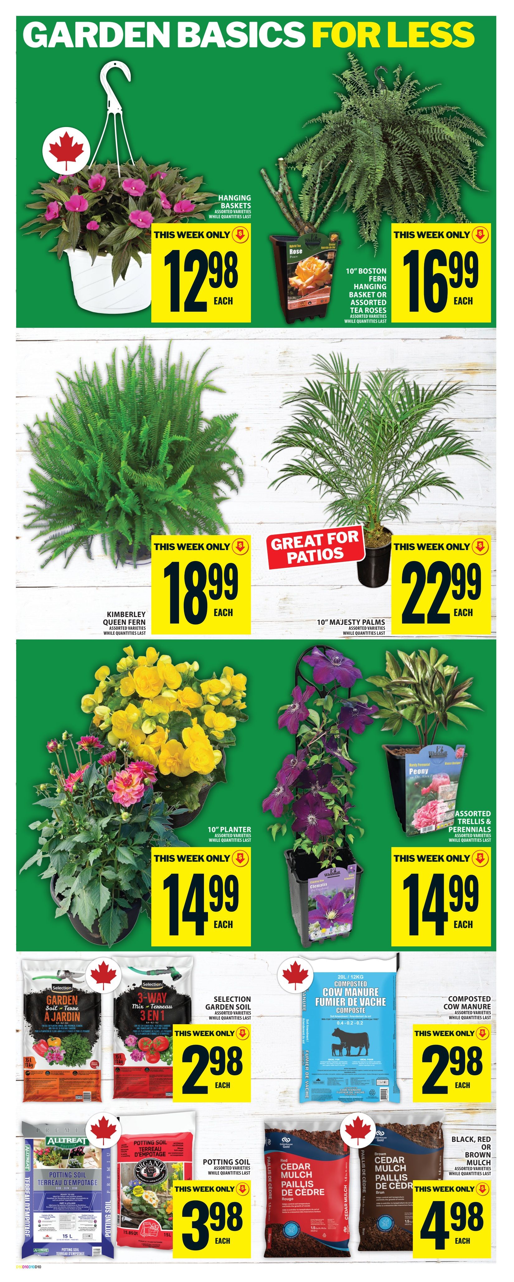 Food Basics weekly flyer specials page 16 features 'Garden Basics For Less'. Offers include hanging baskets for $12.98 each, 10' Boston Fern hanging basket or assorted tea roses for $16.99 each, Kimberley Queen Fern for $18.99 each, and 10' Majesty Palms for $22.99 each. Also featured are 10' planters with assorted varieties for $14.99 each, and assorted trellises and perennials for $14.99 each. Bagged products include Selection Garden Soil and 3-Way Mix for $2.98 each, 20L/12KG Composted Cow Manure for $2.98 each, Alltreat Potting Soil for $3.98 each, and Organix Potting Soil for $3.98 each. Finally, Black, Red, or Brown Cedar Mulch is available for $4.98 each. All offers are available 'This Week Only' while quantities last.