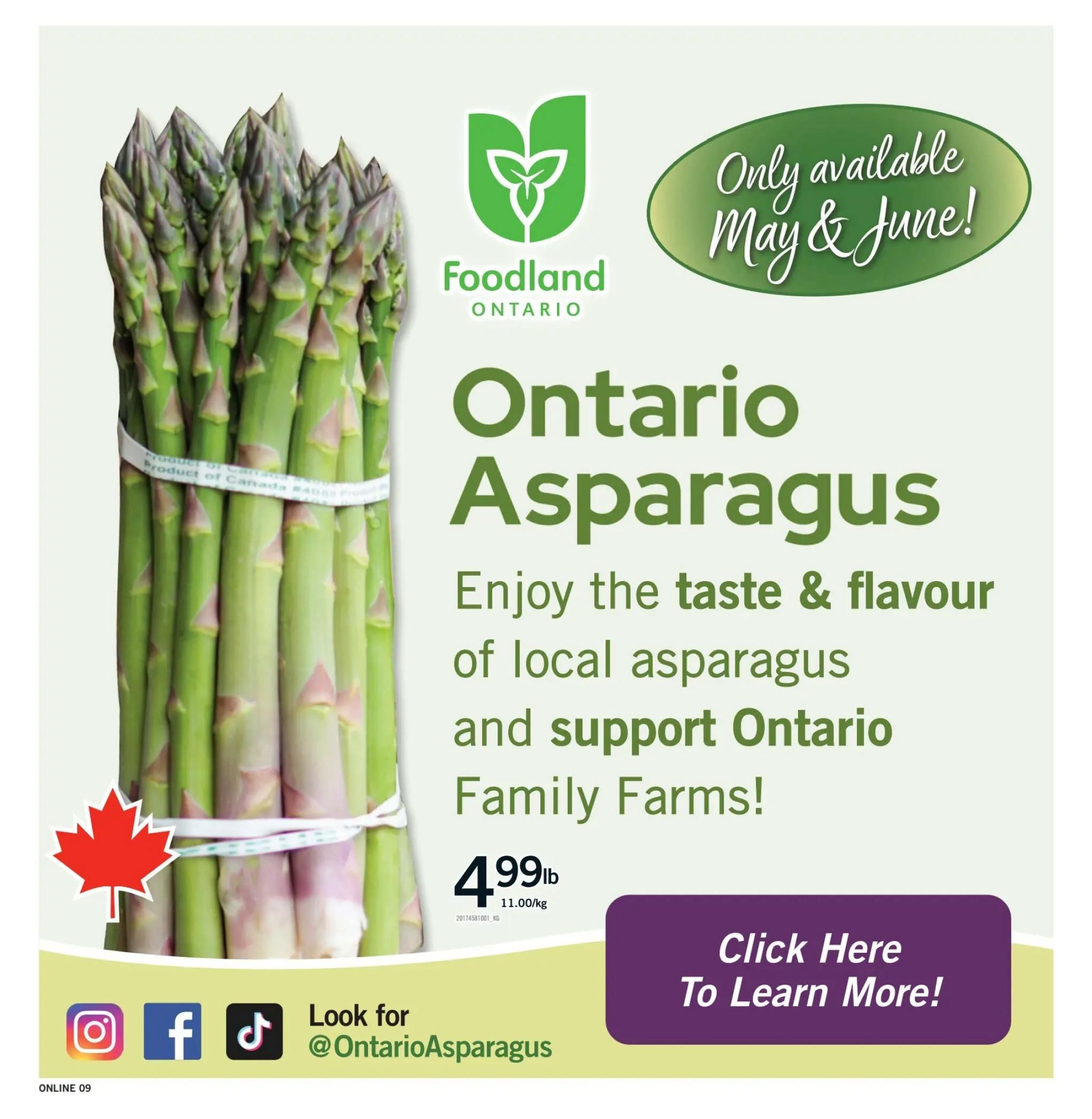 Fortinos Weekly Flyer Specials, Page 9. Features Ontario Asparagus, available only in May & June. Enjoy the taste and flavour of local asparagus and support Ontario Family Farms. Priced at $4.99 per lb, which is $11.00/kg. Includes a 'Click Here To Learn More!' button. Also shows social media icons for Instagram, Facebook, and TikTok with the handle @OntarioAsparagus.
