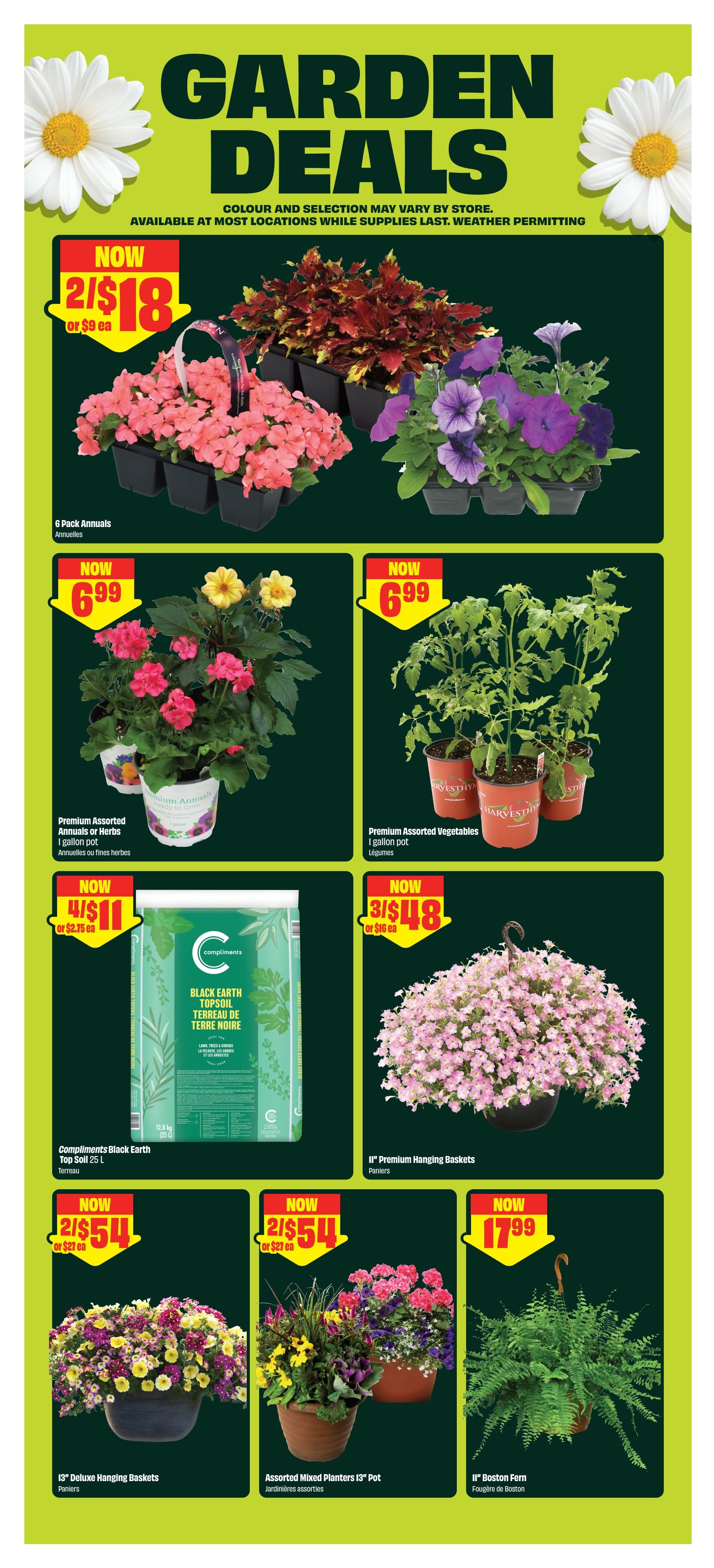 FreshCo Ontario flyer page 5 features Garden Deals. Get 6 Pack Annuals for now 2 for $18, or $9 each. Premium Assorted Annuals or Herbs in a 1 gallon pot are now $6.99. Premium Assorted Vegetables in a 1 gallon pot are also now $6.99. Compliments Black Earth Top Soil 25 L is now 4 for $11, or $2.75 each. II' Premium Hanging Baskets are now 3 for $48, or $16 each. 13' Deluxe Hanging Baskets are now 2 for $54, or $27 each. Assorted Mixed Planters I3' Pot are now 2 for $54, or $27 each. Finally, an II' Boston Fern is now $17.99. All offers are available while supplies last and weather permitting.