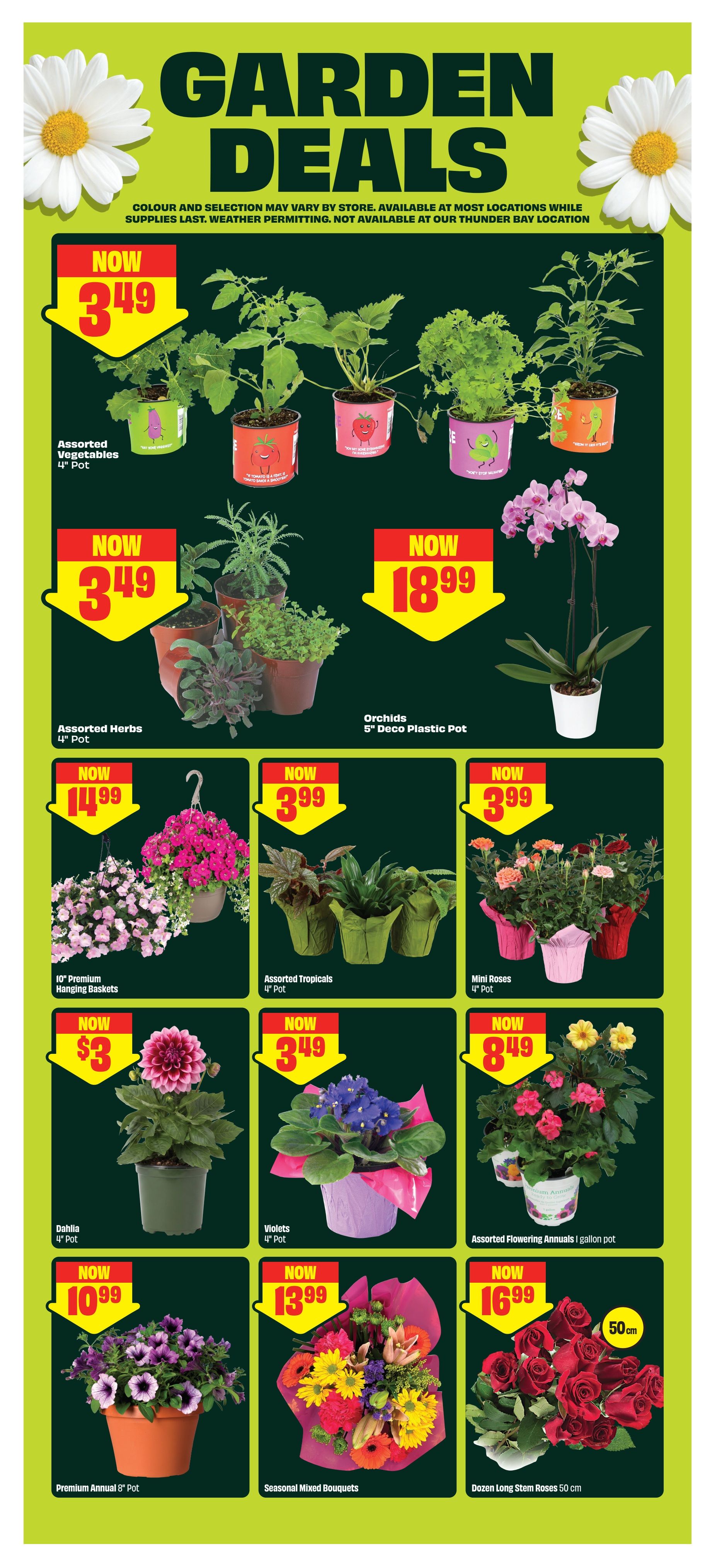 FreshCo Garden Deals flyer page 5 features a variety of plants and flowers. Assorted Vegetables in 4' pots are now $3.49. Assorted Herbs in 4' pots are also $3.49. Orchids in 5' deco plastic pots are $18.99. 10' premium hanging baskets are $14.99. Assorted Tropicals in 4' pots are $3.99. Mini Roses in 4' pots are $3.99. A Dahlia in a 4' pot is $3. Violets in 4' pots are $3.49. Assorted Flowering Annuals in a gallon pot are $8.49. Premium Annuals in an 8' pot are $10.99. Seasonal Mixed Bouquets are $13.99. A Dozen Long Stem Roses (50 cm) are $16.99. Please note that colour and selection may vary by store, and items are available at most locations while supplies last, weather permitting. Not available at the Thunder Bay location.