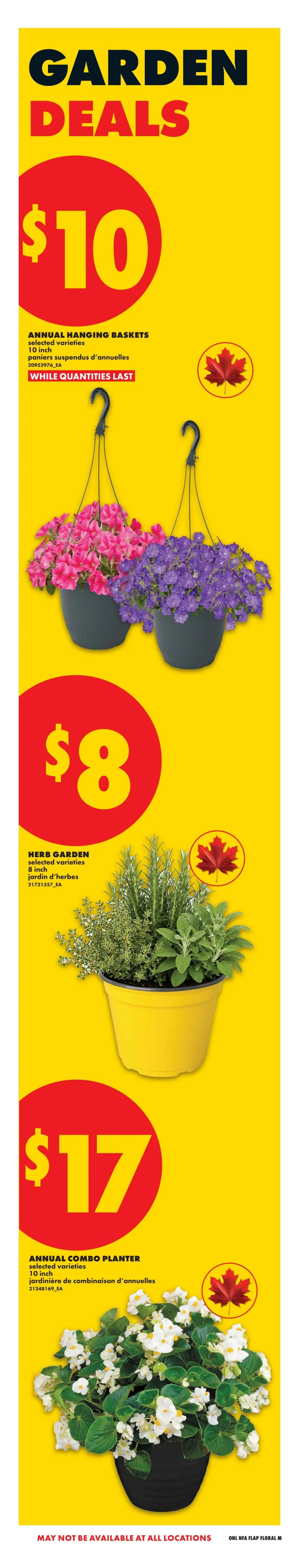 No Frills flyer page featuring Garden Deals. Offers include Annual Hanging Baskets, selected varieties, 10 inch, for $10. Also available is an 8 inch Herb Garden, selected varieties, for $8. Finally, an Annual Combo Planter, selected varieties, 10 inch, is priced at $17. All items are available while quantities last. Note that items may not be available at all locations.