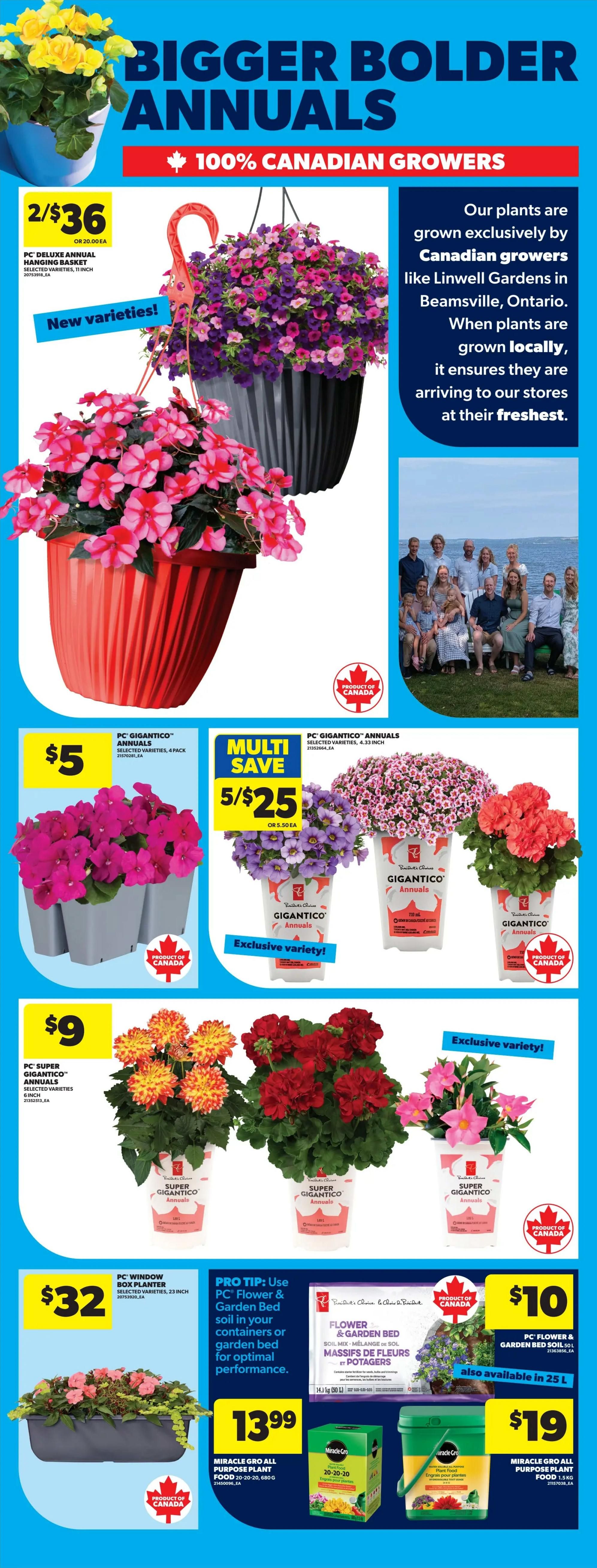 Real Canadian Superstore flyer page 45 features 'Bigger Bolder Annuals - 100% Canadian Growers'. Featured items include PC Deluxe Annual Hanging Baskets at 2 for $36, PC Gigantico Annuals 4-pack for $5, and PC Gigantico Annuals 4.33 inch pots at 5 for $25. Also available are PC Super Gigantico Annuals 6-inch pots for $9, and PC Window Box Planters for $32. The flyer also promotes PC Flower & Garden Bed Soil Mix for $10, Miracle Gro All Purpose Plant Food 680g for $13.99, and Miracle Gro All Purpose Plant Food 1.5kg for $19. A 'Pro Tip' suggests using PC Flower & Garden Bed soil for optimal performance in containers or garden beds. The plants are highlighted as being grown exclusively by Canadian growers like Linwell Gardens in Beamsville, Ontario, ensuring freshness.