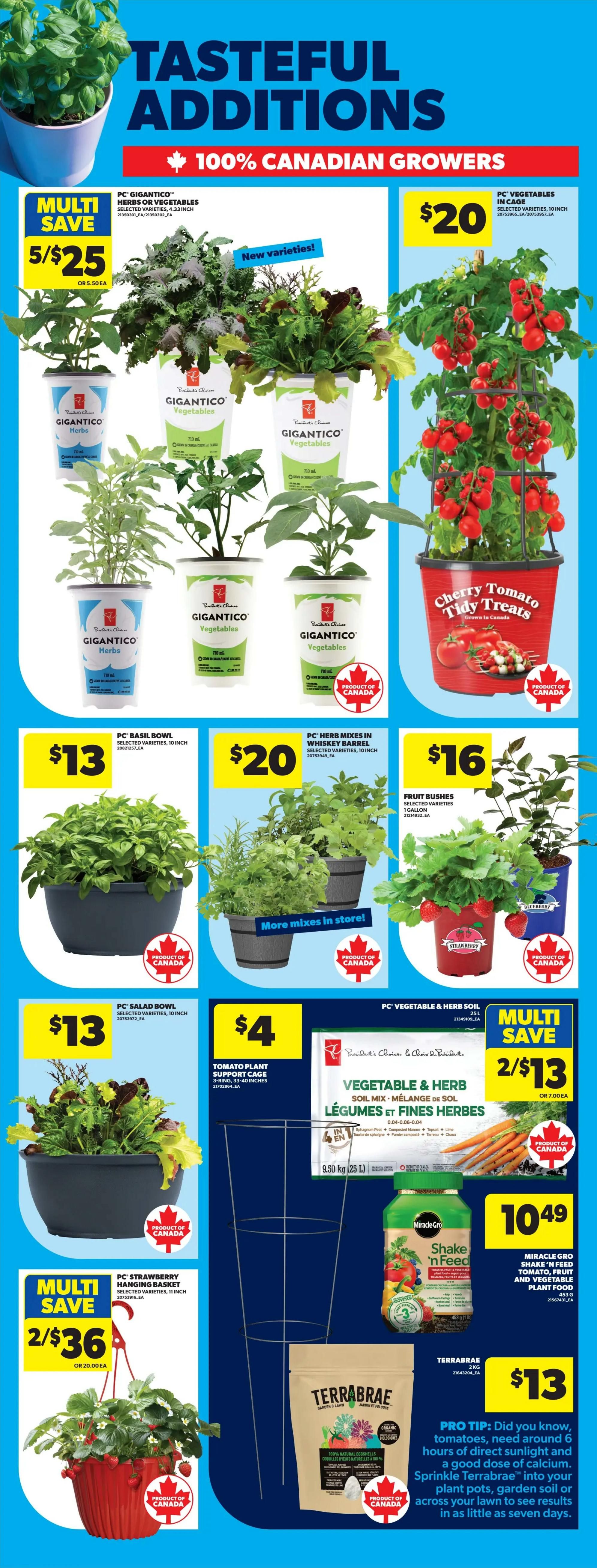 Real Canadian Superstore weekly flyer specials page 47 features a variety of 'Tasteful Additions' from 100% Canadian growers. Featured items include PC Gigantico herbs and vegetables, with a multi-save offer of 5 for $25 or $5.50 each. A Cherry Tomato Tidy Treats plant is available for $20. Also on sale are PC Basil Bowls for $13, PC Herb Mixes in Whiskey Barrels for $20, and Fruit Bushes selected varieties for $16. A PC Salad Bowl is priced at $13. A Tomato Plant Support Cage is $4. PC Strawberry Hanging Baskets are on a multi-save offer of 2 for $36 or $20.00 each. PC Vegetable & Herb Soil Mix is available in a multi-save offer of 2 for $13 or $7.00 each. Miracle-Gro Shake 'n Feed Tomato, Fruit and Vegetable Plant Food is $10.49. Terrabrae 100% Natural Garden Soil is $13, with a pro tip on using it for plant pots, garden soil, or lawns. The flyer highlights 'New varieties!' and 'More mixes in store!
