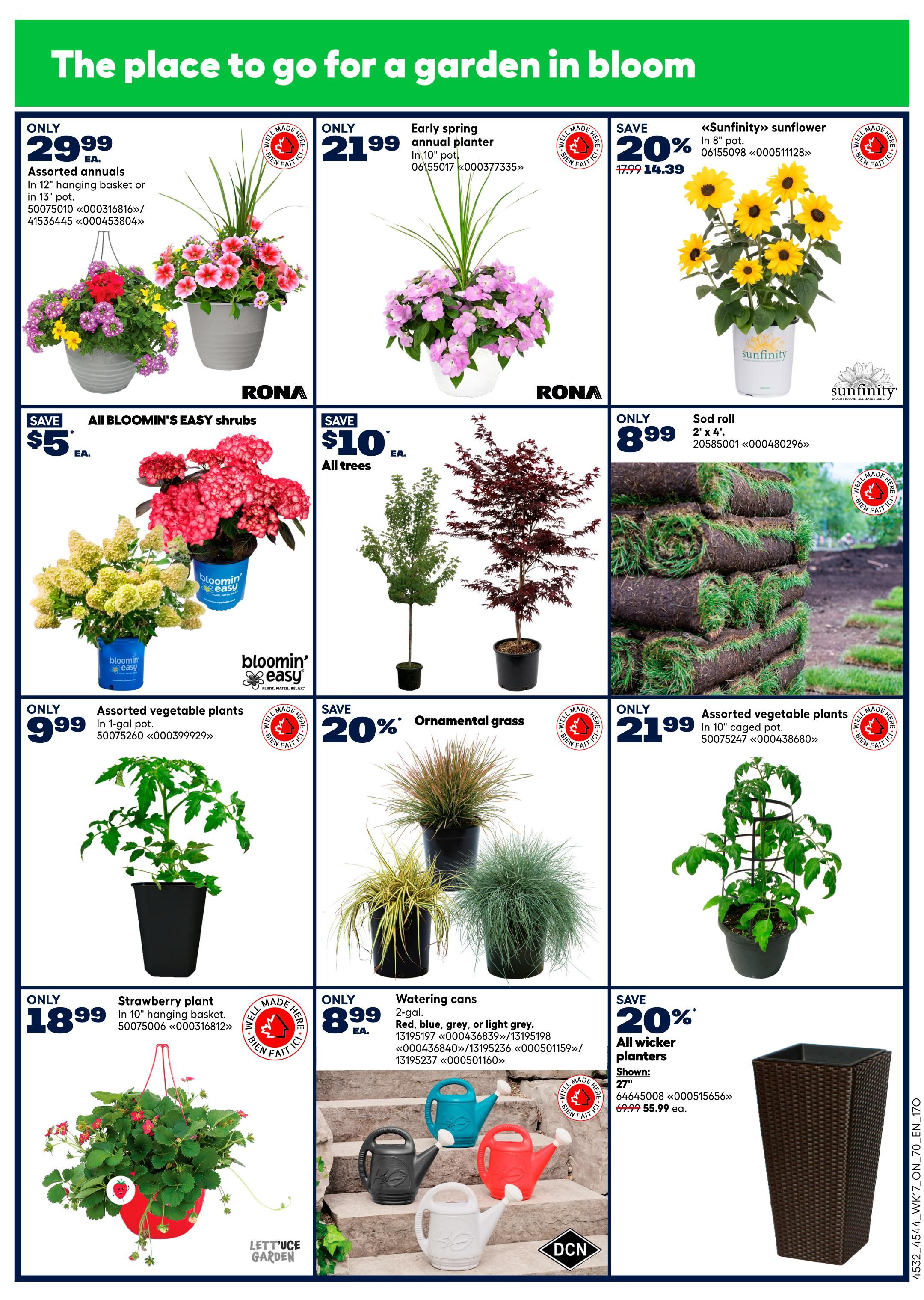 Rona Ontario weekly flyer specials page 7 features a variety of garden plants and accessories. Top row includes Assorted annuals in 12' or 13' pots for only $29.99 each, Early spring annual planters in 10' pots for only $21.99 each, and Sunfinity sunflowers in 8' pots on sale for 20% off, priced at $14.39 from $17.99. The second row showcases All BLOOMIN' EASY shrubs on sale for $5 each, All trees on sale for $10 each, and Sod rolls (2' x 4') for only $8.99 each. The third row features Assorted vegetable plants in 1-gal pots for only $9.99 each, Ornamental grass with a 20% discount, and Assorted vegetable plants in 10' caged pots for only $21.99 each. The bottom row highlights a Strawberry plant in a 10' hanging basket for only $18.99, Watering cans (2-gal) in red, blue, grey, or light grey for only $8.99 each, and All wicker planters (27') on sale for 20% off, priced at $55.99 from $69.99.