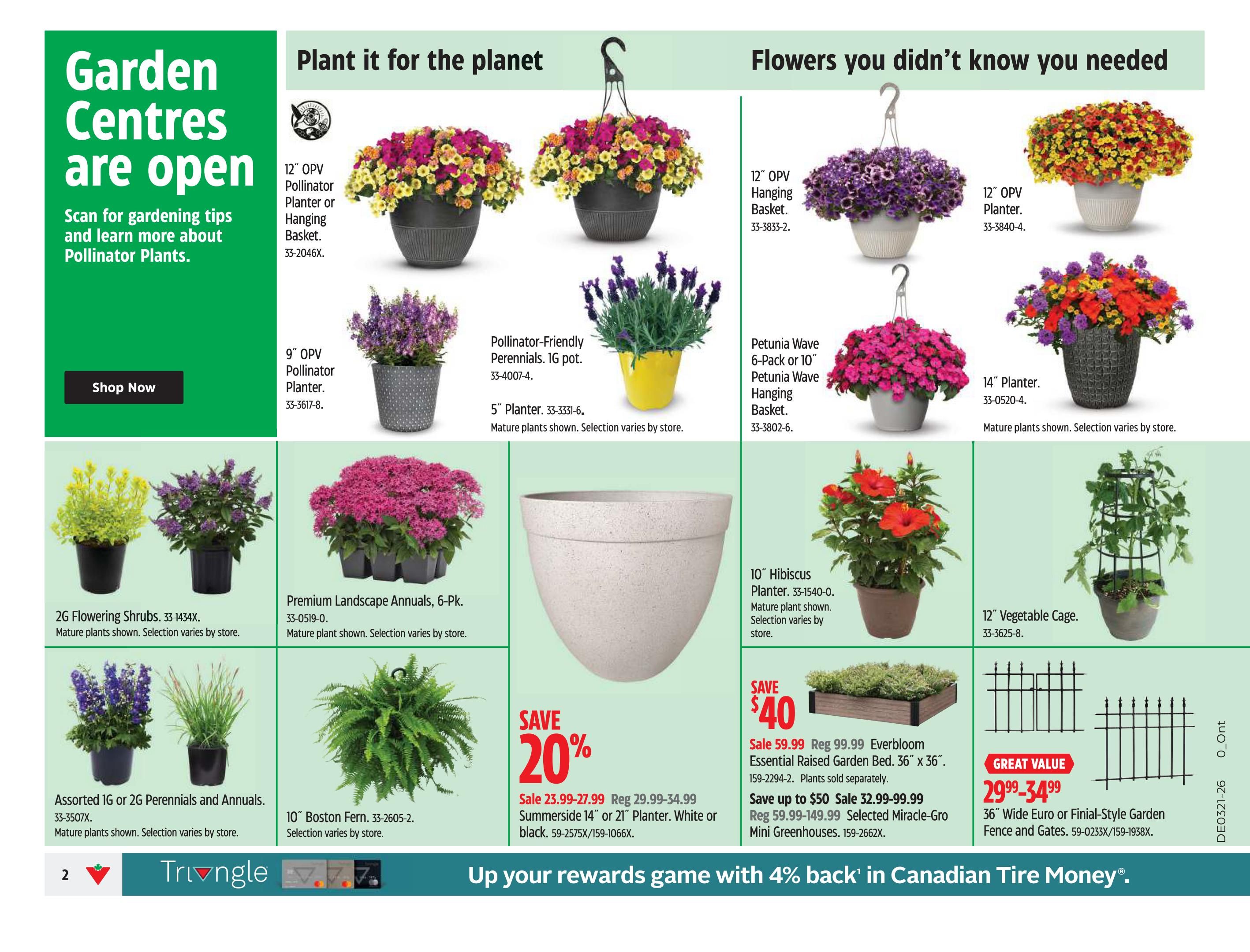 Canadian Tire flyer page 4 features gardening supplies. 'Garden Centres are open' with a 'Shop Now' button. 'Plant it for the planet' section includes 12' OPV Pollinator Planter or Hanging Basket for $23.99-$27.99, 9' OPV Pollinator Planter, Pollinator-Friendly Perennials (1G pot), 5' Planter, and Assorted 1G or 2G Perennials and Annuals. 'Flowers you didn't know you needed' section displays 12' OPV Hanging Basket, Petunia Wave 6-Pack or 10' Petunia Wave Hanging Basket, 12' OPV Planter, 14' Planter, 2G Flowering Shrubs, Premium Landscape Annuals (6-Pk), 10' Hibiscus Planter, and 12' Vegetable Cage. Also featured are a large planter, a 10' Boston Fern, a 'SAVE 20%' offer on Summerside 14' or 21' Planter (Sale $23.99-$27.99, Reg $29.99-$34.99), a 'SAVE $40' offer on Everbloom Essential Raised Garden Bed 36' x 36' (Sale $59.99, Reg $99.99), and a 'Save up to $50' offer on Miracle-Gro Mini Greenhouses (Sale $32.99-$99.99). A 'GREAT VALUE' of $29.99-$34.99 is shown for a 36' Wide Euro or Finial-Style Garden Fence and Gates. The bottom banner promotes 'Up your rewards game with 4% back in Canadian Tire Money.