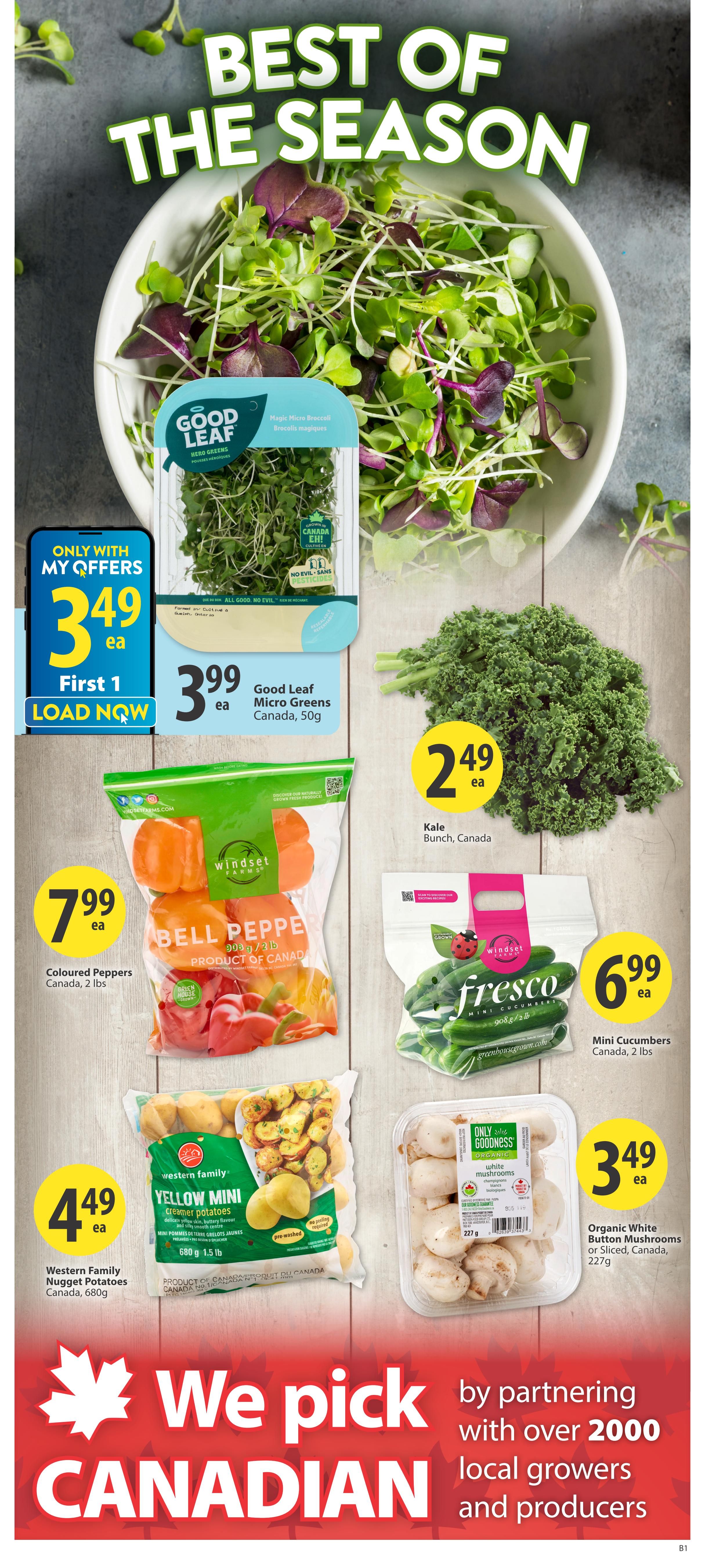 Save-On-Foods weekly flyer specials page 3 features 'Best of the Season' produce. Highlights include Good Leaf Micro Greens Canada, 50g for $3.99, and a special offer of $3.49 for the first load. Also featured are Windset Farms Coloured Peppers, Canada, 2 lbs for $7.99, Kale Bunch, Canada for $2.49 each, and Fresco Mini Cucumbers, Canada, 2 lbs for $6.99. Western Family Yellow Mini Nugget Potatoes, Canada, 680g are on sale for $4.49 each. Organic White Button Mushrooms or Sliced, Canada, 227g are priced at $3.49 each. The flyer emphasizes 'We pick CANADIAN by partnering with over 2000 local growers and producers.