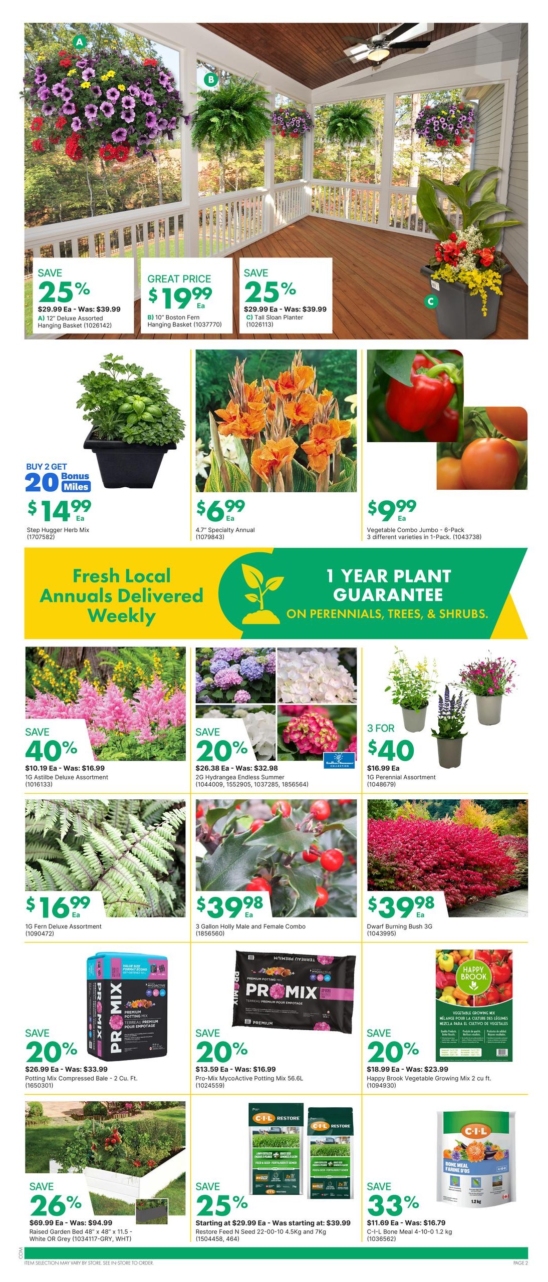 Kent weekly flyer specials page 2 features a variety of plants and gardening supplies. Save 25% on a 12' Deluxe Assorted Hanging Basket, originally $39.99, now $29.99. A 10' Boston Fern Hanging Basket is $19.99. Save 25% on a Tall Sloan Planter, originally $39.99, now $29.99. Buy 2 Get 20 Bonus Miles on Step Hugger Herb Mix for $14.99. Specialty Annuals are $6.99 each. Vegetable Combo Jumbo 6-Packs are $9.99. Save 40% on 1G Astilbe Deluxe Assortment for $10.19. Save 20% on 2G Hydrangea Endless Summer for $26.38. Get 3 for $40 on 1G Perennial Assortment, regularly $16.99 each. 1G Fern Deluxe Assortment is $16.99. 3 Gallon Holly Male and Female Combo is $39.98. Dwarf Burning Bush 3G is $39.98. Save 20% on Potting Mix Compressed Bale 2 Cu. Ft. for $26.99. Save 20% on Pro-Mix MycoActive Potting Mix 56.6L for $13.59. Save 20% on Happy Brook Vegetable Growing Mix 2 cu ft for $18.99. Save 26% on Raised Garden Bed 48' x 48' x 11.5' in White or Grey for $69.99. Save 25% on C-I-L Restore Feed N Seed 22-00-10 4.5kg and 7kg starting at $29.99. Save 33% on C-I-L Bone Meal 4-10-0 1.2 kg for $11.69. The flyer also highlights a 1 Year Plant Guarantee on Perennials, Trees, & Shrubs.