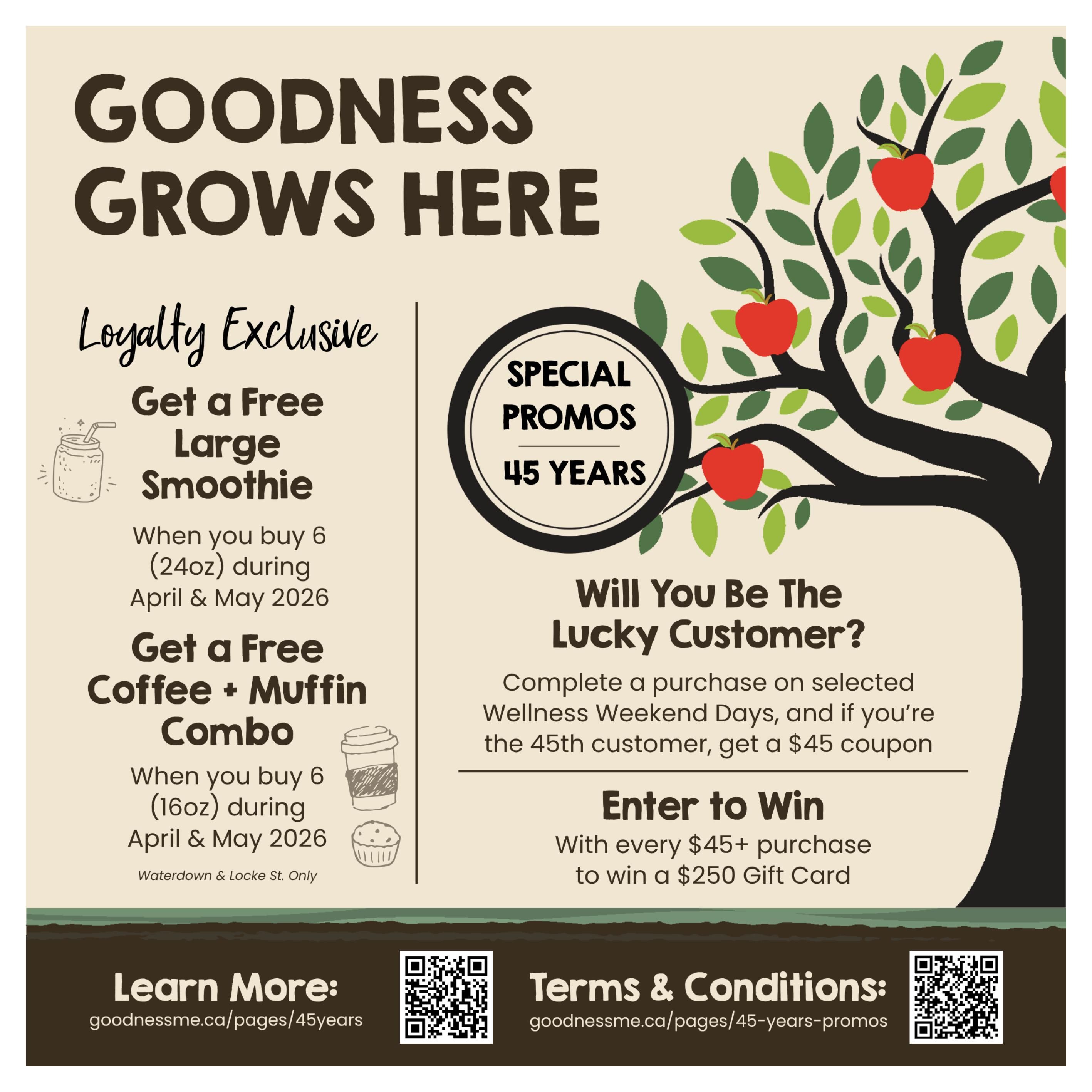 Goodness Me! flyer page 4 features 'Goodness Grows Here' promotions. Loyalty exclusives include a free large smoothie when you buy 6 (24oz) during April & May 2026, and a free coffee + muffin combo when you buy 6 (16oz) during April & May 2026, available at Waterdown & Locke St. locations only. Special promos celebrate 45 years. There's a chance to win a $250 gift card with every $45+ purchase on selected Wellness Weekend Days, where the 45th customer receives a $45 coupon. Learn more at goodnessme.ca/pages/45years and find terms & conditions at goodnessme.ca/pages/45-years-promos.