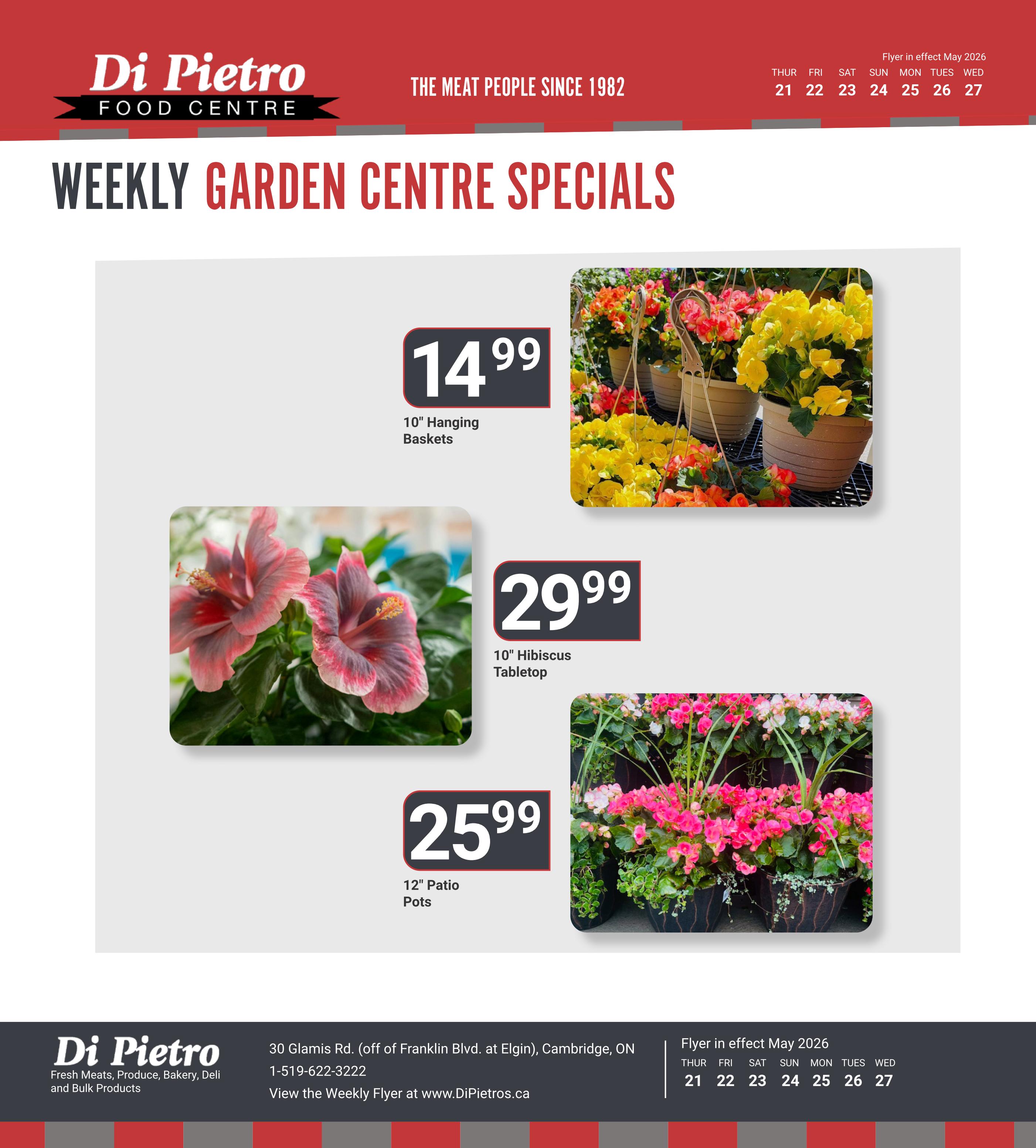 Di Pietro Food Centre Weekly Garden Centre Specials flyer for May 21-27, 2026. Featuring 10' Hanging Baskets for $14.99, 10' Hibiscus Tabletop for $29.99, and 12' Patio Pots for $25.99. The flyer also includes store information: 30 Glamis Rd. (off Franklin Blvd. at Elgin), Cambridge, ON, 1-519-622-3222, and website www.DiPietros.ca.