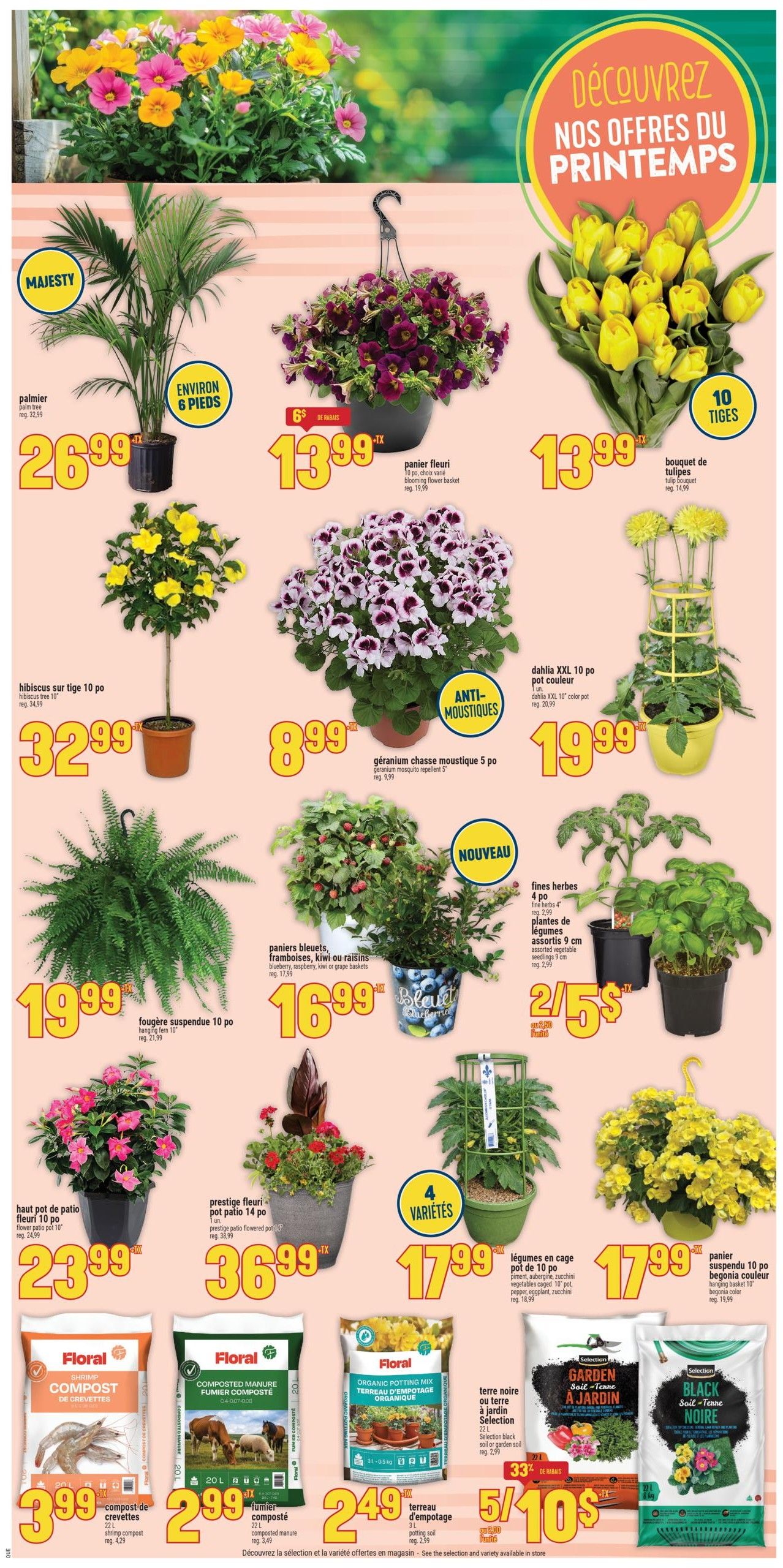 Adonis Weekly Flyer Specials Page 7: Discover our spring offers! Featuring a Majesty palm tree for $26.99, a 6-inch blooming flower basket for $13.99, and a 10-stem tulip bouquet for $13.99. Also available are hibiscus on a 10-inch stem for $32.99, a 5-pot mosquito-repelling geranium for $8.99, and a 10-inch Dahlia XXL in a colour pot for $19.99. Find a 10-inch hanging fern for $19.99, assorted 4-variety berry, kiwi, or grape baskets for $16.99, and 4-inch herb plants or 9 cm assorted vegetable plants for 2 for $5. Other plants include a 10-inch patio flower pot for $23.99, a 14-inch patio flowering pot for $36.99, and a 10-inch caged tomato plant for $17.99. A 10-inch hanging begonia basket is also $17.99. Soil and compost options include 20L shrimp compost for $3.99, 20L composted manure for $2.99, 3L organic potting mix for $2.49, and Selection black or garden soil for 5 for $10.