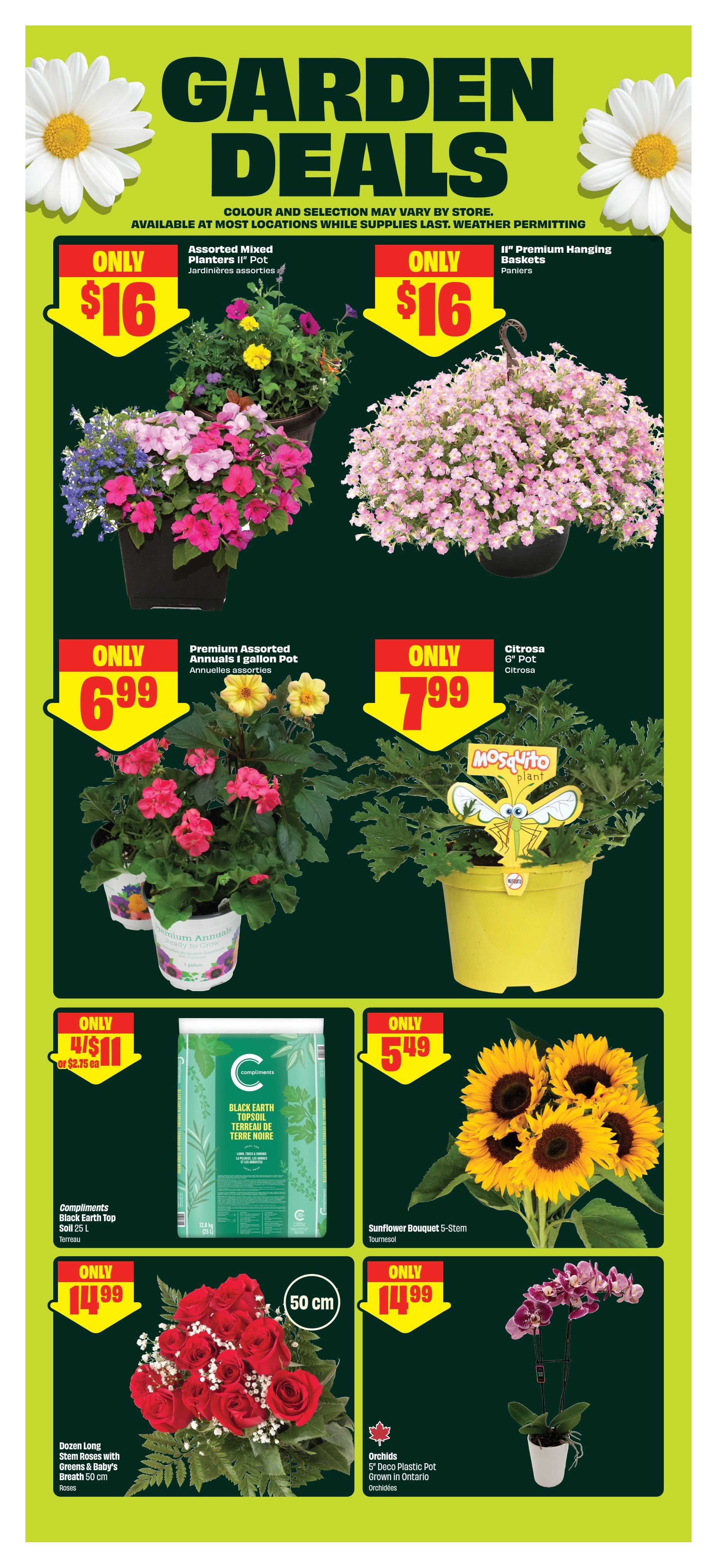 FreshCo Garden Deals flyer, page 5. Features Assorted Mixed Planters II Pot for $16, and II' Premium Hanging Baskets for $16. Also available are Premium Assorted Annuals I gallon pot for $6.99, and a Citrosa 6' Pot for $7.99. Compliments Black Earth Top Soil 25 L is on sale for $5.49. Get a Dozen Long Stem Roses with Greens & Baby's Breath (50 cm) for $14.99, and Orchids in a 5' Deco Plastic Pot, grown in Ontario, for $14.99. A 5-Stem Sunflower Bouquet is also available for $5.49.