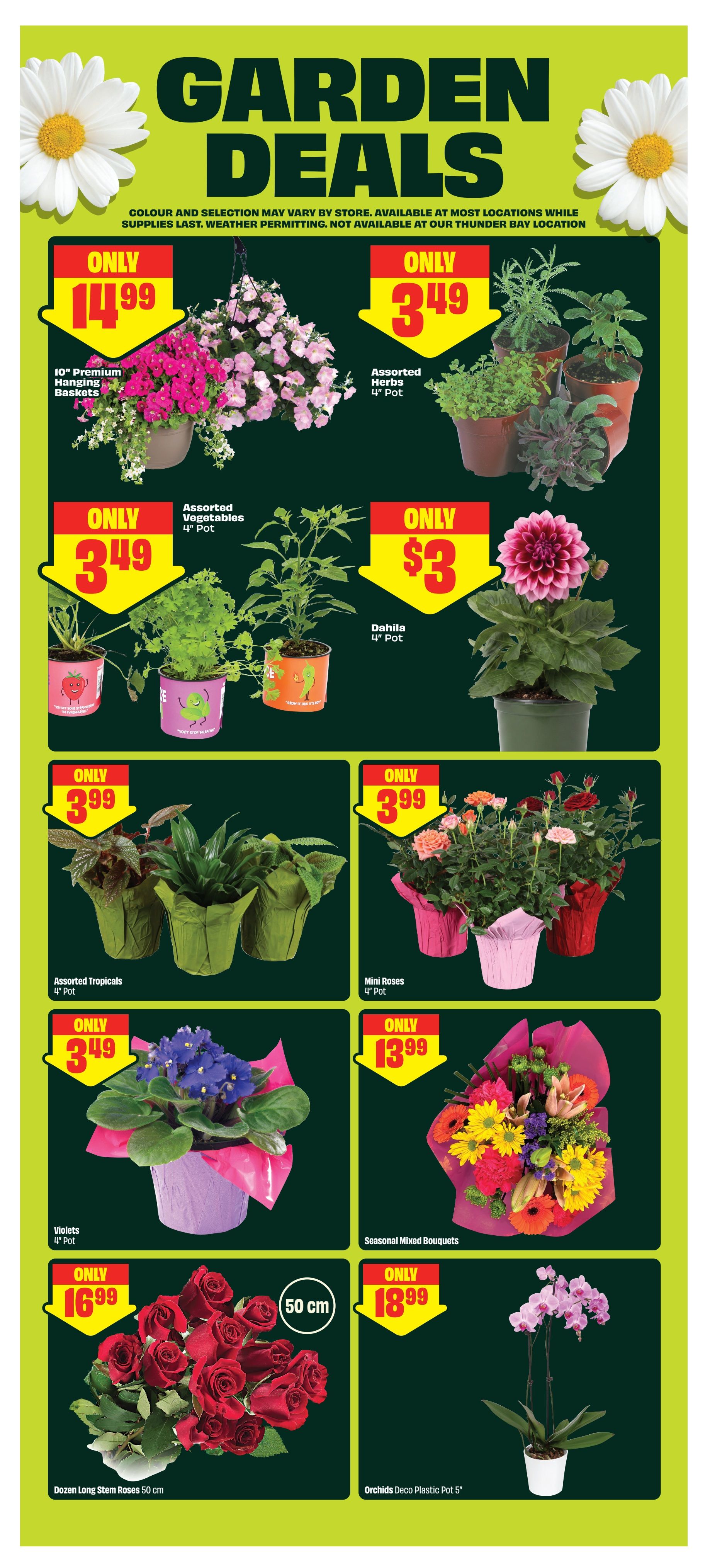 FreshCo - Alberta - Weekly Flyer Specials - Valid from May 28 to June 3, 2026 - Page 5