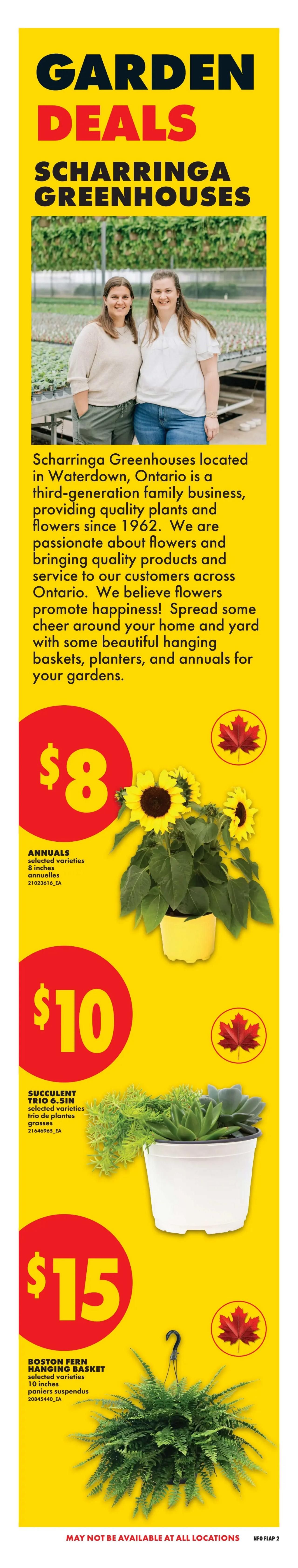No Frills - Ontario - Weekly Flyer Specials - Valid from May 28 to June 3, 2026 - Page 3
