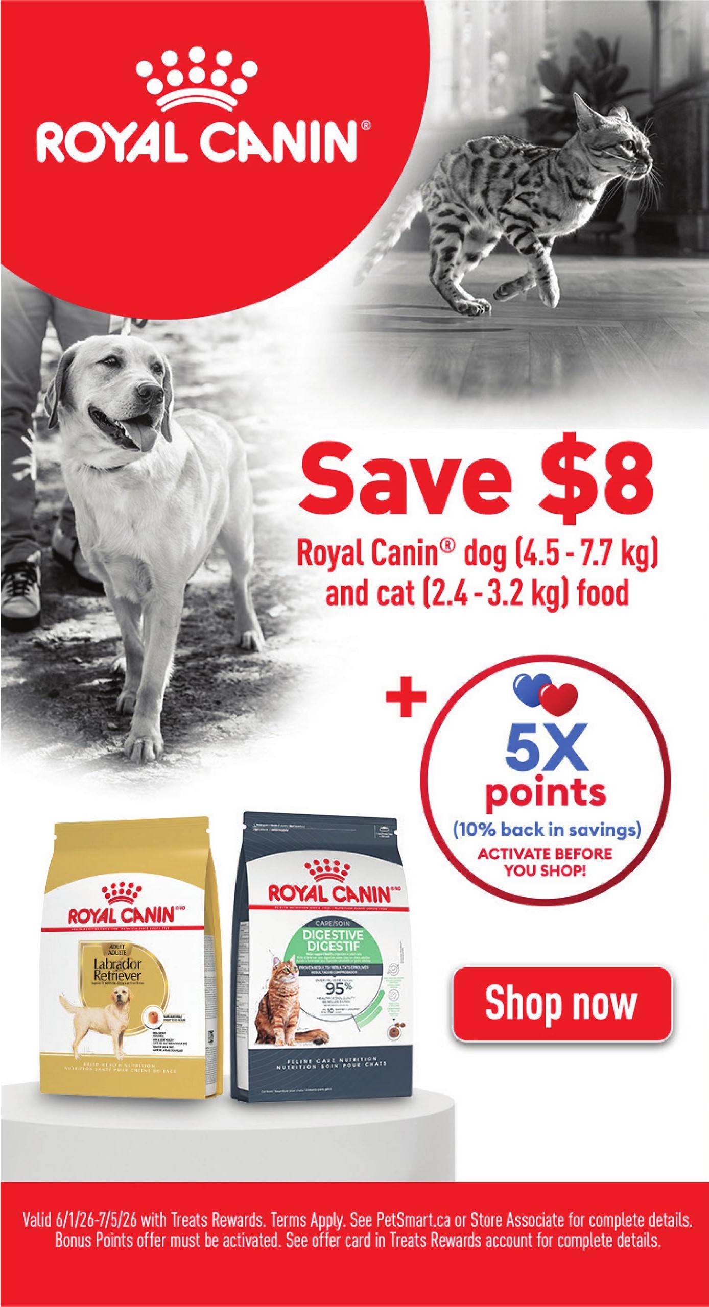 PetSmart flyer page 4 features a special offer: Save $8 on Royal Canin dog food (4.5-7.7 kg) and cat food (2.4-3.2 kg). Additionally, get 5X bonus points (10% back in savings) when you activate the offer before shopping. The page displays Royal Canin Adult Labrador Retriever dog food and Royal Canin Feline Care Nutrition Digestive Care cat food. A 'Shop now' button is prominently displayed. The offer is valid from June 1st to July 5th, 2026, with Treats Rewards. Terms and conditions apply, see PetSmart.ca or a store associate for details. Bonus points require activation in your Treats Rewards account.