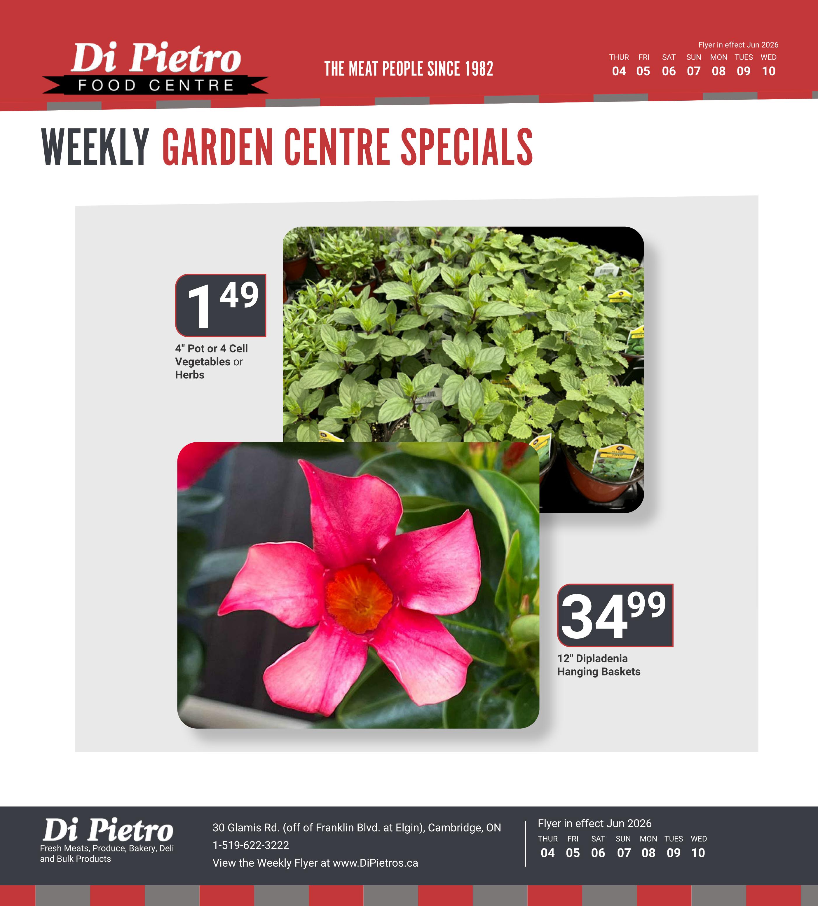 Di Pietro Food Centre weekly garden centre specials flyer. Featuring 4' Pot or 4 Cell Vegetables or Herbs for $1.49 and 12' Dipladenia Hanging Baskets for $34.99. Flyer in effect June 2026 from the 4th to the 10th. Located at 30 Glamis Rd. (off Franklin Blvd. at Elgin), Cambridge, ON. Phone: 1-519-622-3222. View the weekly flyer at www.DiPietros.ca.