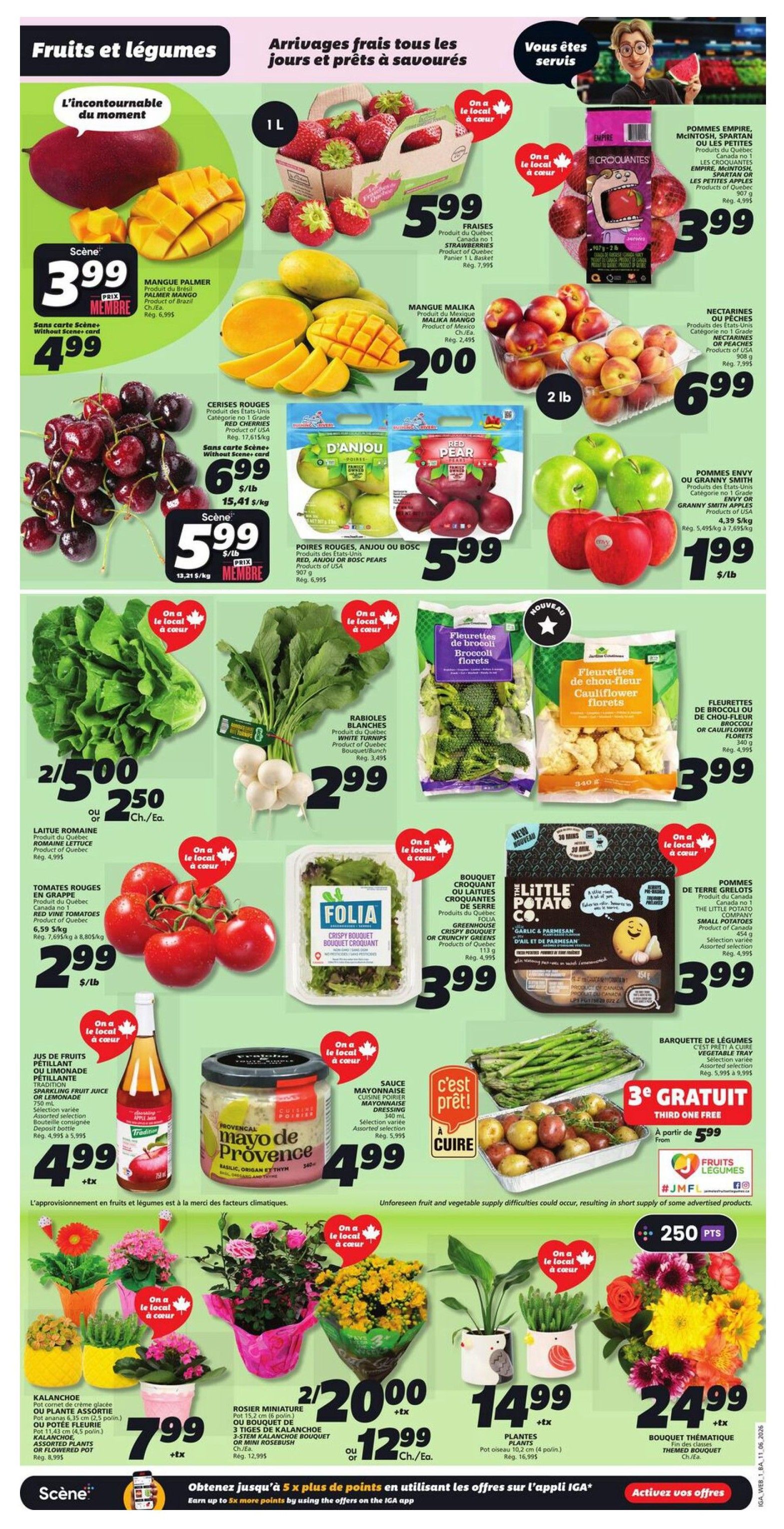 IGA Weekly Flyer Specials Page 3 features a wide selection of fresh fruits and vegetables. Highlights include Palmer Mango for $3.99 (member price $4.99), Malika Mango for $2.00, and red cherries for $6.99/lb. Strawberries are $5.99 per litre. Empire, Spartan, or McIntosh apples are $3.99. Nectarines or peaches are $6.99/lb, and Envy or Granny Smith apples are $1.99/lb. Fresh produce includes lettuce for 2 for $5.00 or $2.50 each, red tomatoes for $2.99/lb, and white turnips for $2.99. Also available are broccoli florets for $3.99, cauliflower florets for $3.99, and crispy bouquets for $3.99. Asparagus is featured with a 'buy 2, get 1 free' offer starting from $5.99. Small potatoes are $3.99. Beverages include sparkling fruit juice or lemonade for $4.99. Provence-style mayonnaise is $4.99. Potted plants are available, including kalanchoe for $7.99, miniature roses for 2 for $20.00 or $12.99 each, and assorted plants for $14.99. A thematic bouquet is $24.99. Earn up to 5x more points by using offers on the IGA app.