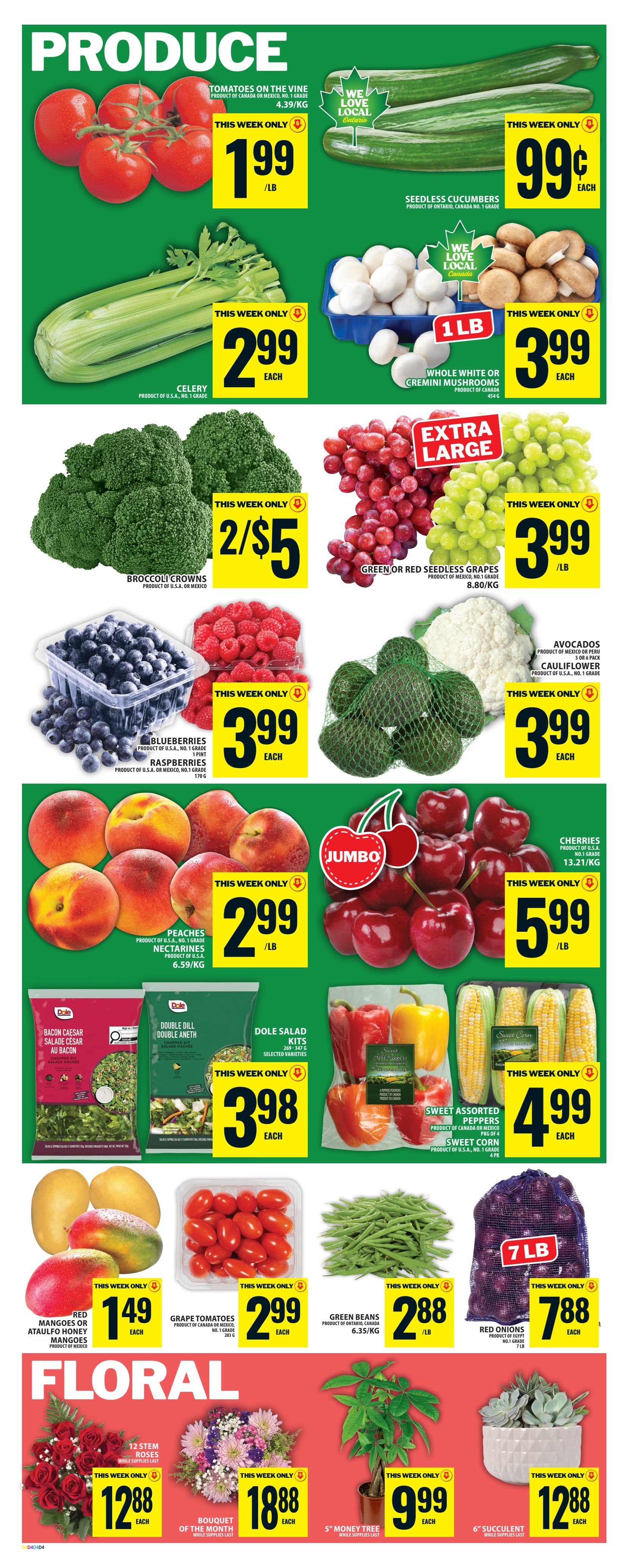 Food Basics weekly flyer specials page 7 features a variety of fresh produce and floral items. Produce highlights include Tomatoes on the Vine for $1.99/lb, Seedless Cucumbers for $0.99 each, Celery for $2.99 each, and 1 lb of Whole White or Cremini Mushrooms for $3.99. Also available are Broccoli Crowns at 2 for $5, Extra Large Green or Red Seedless Grapes for $3.99/lb, Blueberries and Raspberries for $3.99 each (pint for blueberries, 170g for raspberries), Avocados and Cauliflower for $3.99 each. Peaches and Nectarines are $2.99/lb, and Jumbo Cherries are $5.99/lb. Salad kits, including Dole Bacon Caesar and Dole Dill Double Aneth, are $3.98 each. Sweet Assorted Peppers are $3.98, and Sweet Corn (4 pack) is $4.99 each. Red Mangoes or Ataulfo Honey Mangoes are $1.49 each, Grape Tomatoes are $2.99 each, Green Beans are $2.88/lb, and 7 lb of Red Onions are $7.88. The floral section offers 12 Stem Roses for $12.88 each, a Bouquet of the Month for $18.88 each, a 5' Money Tree for $9.99 each, and a 6' Succulent for $12.88 each. All specials are available this week only, while supplies last.