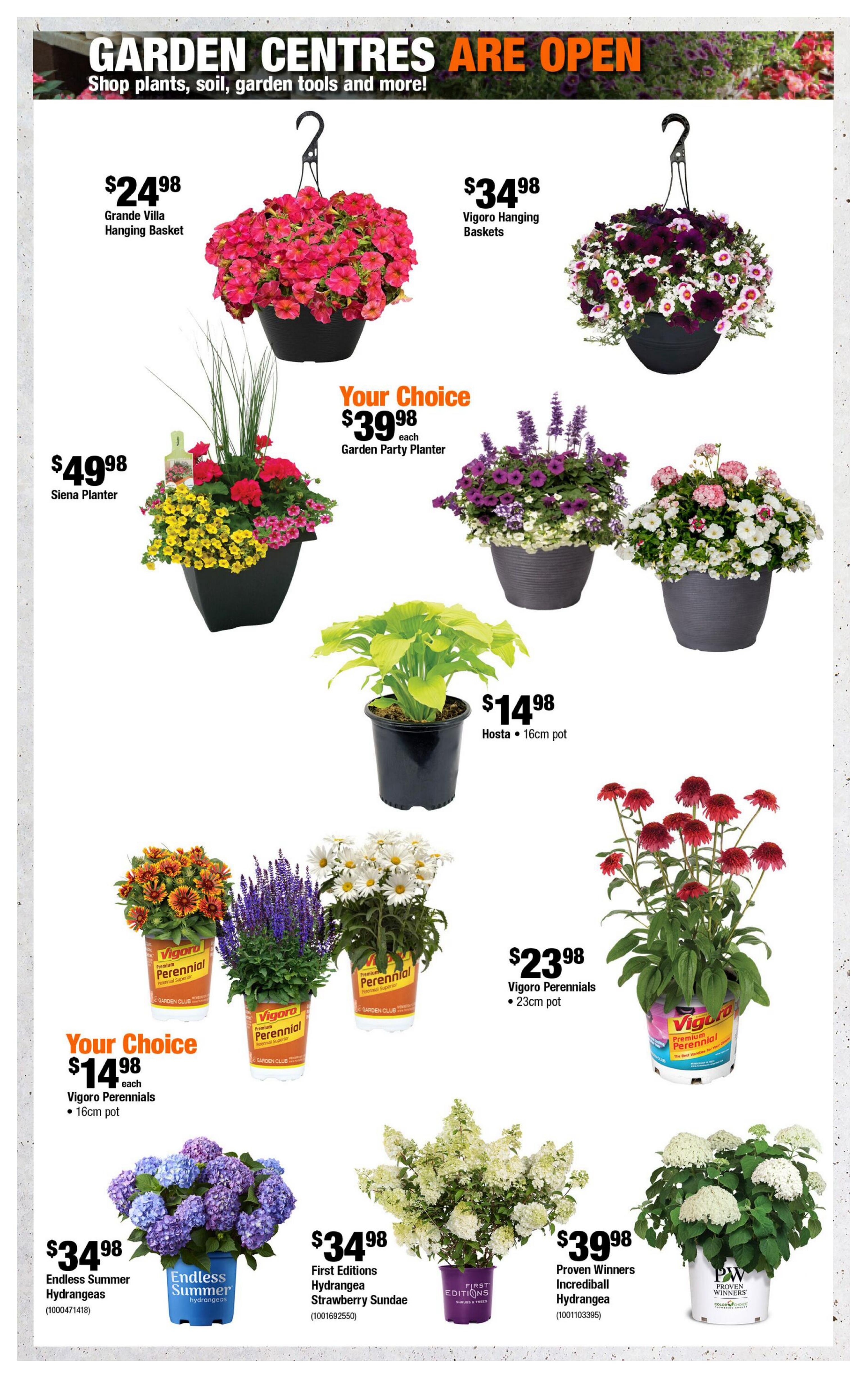Home Depot Atlantic Canada flyer page 5 features a variety of garden plants. Available are Grande Villa Hanging Baskets for $24.98, Vigoro Hanging Baskets for $34.98, and Siena Planters for $49.98. Choose from Garden Party Planters for $39.98 each. Hosta plants in 16cm pots are $14.98. Vigoro Perennials in 16cm pots are your choice at $14.98 each, including varieties with orange flowers, purple lavender, and white daisies. Vigoro Perennials in 23cm pots are $23.98. Featured hydrangeas include Endless Summer Hydrangeas for $34.98, First Editions Hydrangea Strawberry Sundae for $34.98, and Proven Winners Incredible Hydrangea for $39.98.