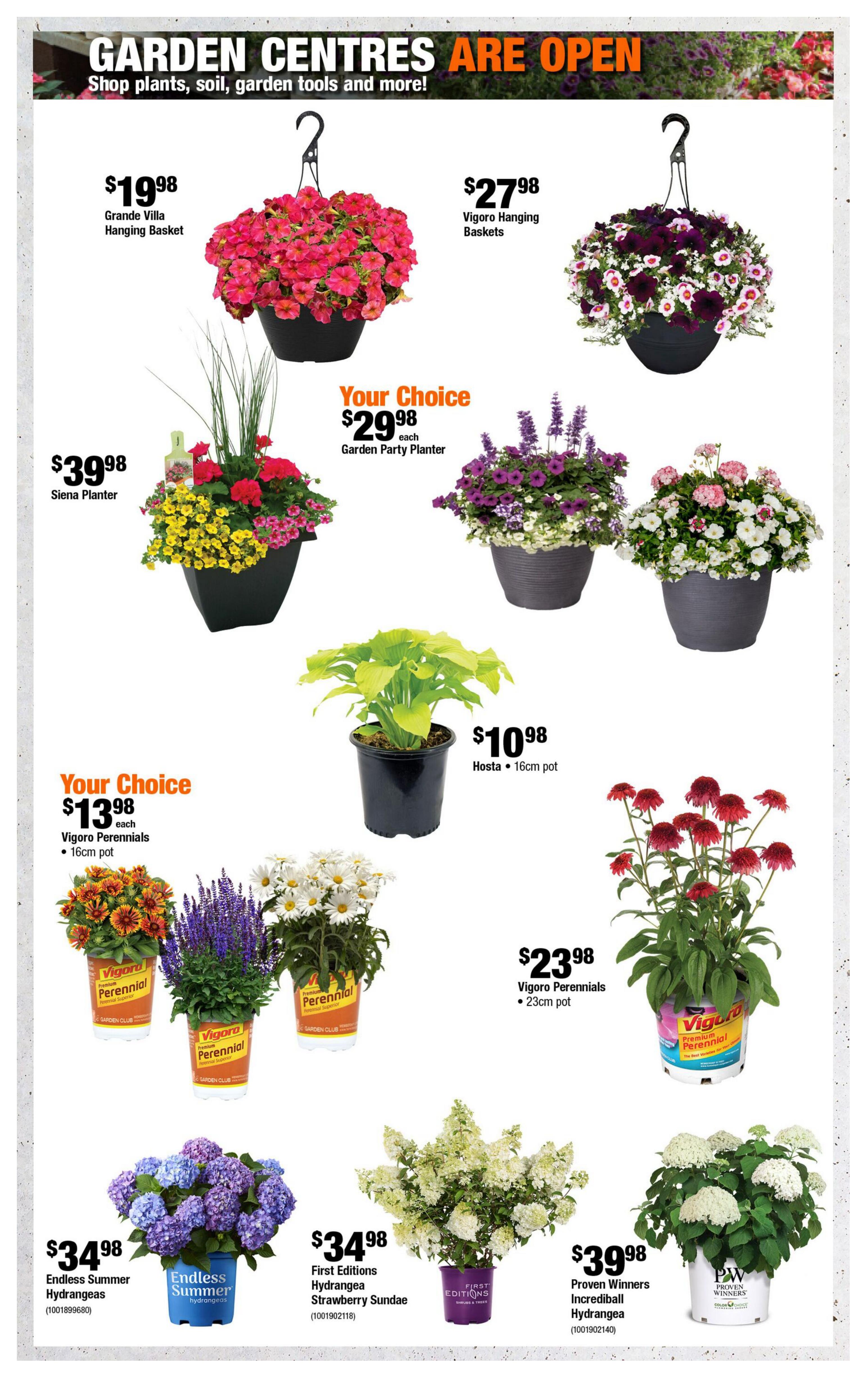 Home Depot flyer page 5 featuring garden centre specials. Offers include Grande Villa Hanging Basket for $19.98, Vigoro Hanging Baskets for $27.98, and Siena Planter for $39.98. Your choice of Garden Party Planter is $29.98 each. Hosta in a 16cm pot is $10.98. Your choice of Vigoro Perennials in a 16cm pot are $13.98 each. Vigoro Perennials in a 23cm pot are $23.98. Also featured are Endless Summer Hydrangeas for $34.98, First Editions Hydrangea Strawberry Sundae for $34.98, and Proven Winners Incredible Hydrangea for $39.98.