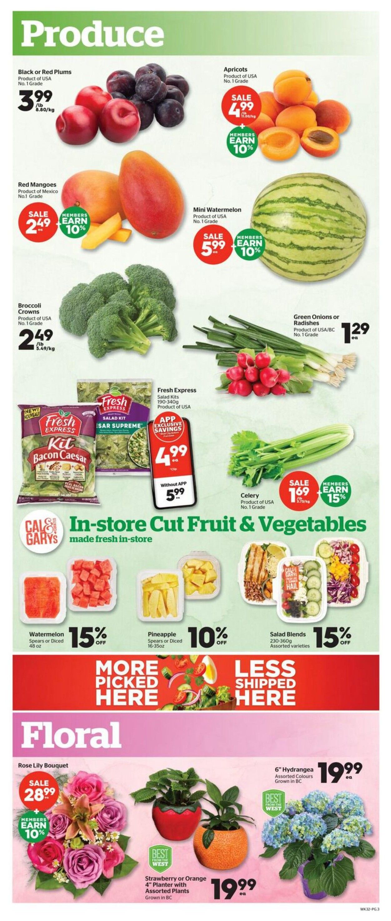 Calgary Co-op Weekly Flyer Specials, Page 3. Featured produce includes Black or Red Plums for $3.99/lb, Apricots for $4.99/lb with 10% member earnings, Red Mangoes for $2.49/lb with 10% member earnings, and Mini Watermelons for $5.99 each with 10% member earnings. Also available are Broccoli Crowns for $2.49/lb and Green Onions or Radishes for $1.29 each. Fresh Express Salad Kits are on sale for $4.99 with APP exclusive savings, or $5.99 without the app. Celery is on sale for $1.69 each with 15% member earnings. In-store cut fruit and vegetables include Watermelon Spears or Diced for 15% off, Pineapple Spears or Diced for 10% off, and Salad Blends for 15% off. The floral section features a Rose Lily Bouquet on sale for $28.99 with 10% member earnings, Strawberry or Orange 4' Planter with Assorted Plants grown in BC for $19.99, and 6' Hydrangeas in assorted colours grown in BC for $19.99 each.
