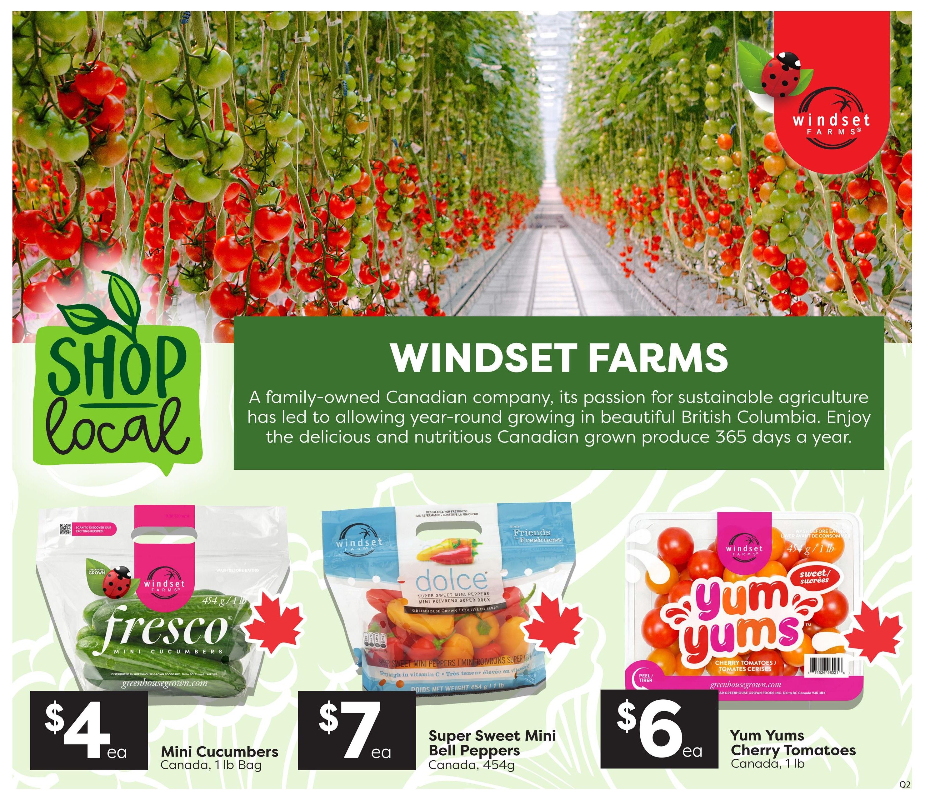 Quality Foods weekly flyer specials page 3 features Windset Farms produce. Highlighted items include Fresco Mini Cucumbers, Canada, 1 lb bag for $4 ea; Dolce Super Sweet Mini Bell Peppers, Canada, 454g for $7 ea; and Yum Yums Cherry Tomatoes, Canada, 1 lb for $6 ea. The page also features a 'Shop Local' message and information about Windset Farms, a family-owned Canadian company passionate about sustainable agriculture in British Columbia, growing produce year-round.