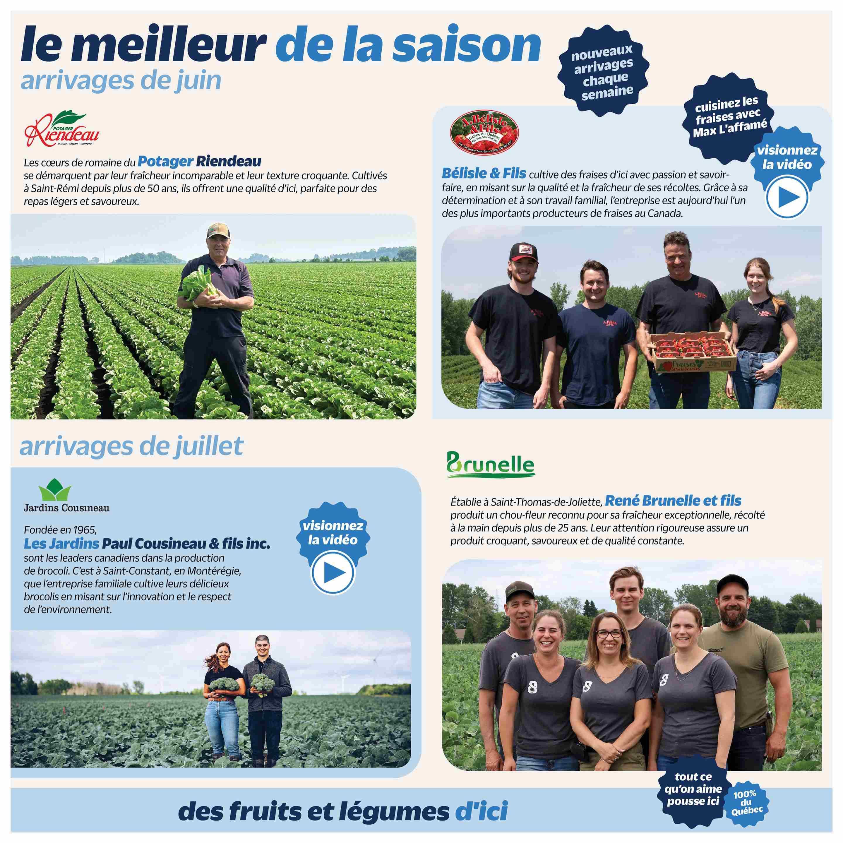 Metro Quebec weekly flyer specials, page 24. Features 'The best of the season: June arrivals' and 'July arrivals'. Highlights Potager Riendeau's crisp lettuce, grown in Saint-Rémi for over 50 years. Showcases B&eacute;lisle & Fils strawberries, cultivated with passion and savoir-faire, making them one of Canada's top strawberry producers. Features 'Cook strawberries with Max l'affam&eacute;' and a 'Watch the video' button. Also features 'July arrivals' from Jardins Cousineau, leaders in broccoli production since 1965 in Saint-Constant, Mont&eacute;r&eacute;gie, emphasizing innovation and environmental respect. Highlights Ren&eacute; Brunelle et fils' cauliflower, grown in Saint-Thomas-de-Joliette for over 25 years, known for exceptional freshness and consistent quality. The page includes 'All that we love grows here' and '100% Quebec' badges, promoting local produce. Includes 'Watch the video' buttons for featured producers.