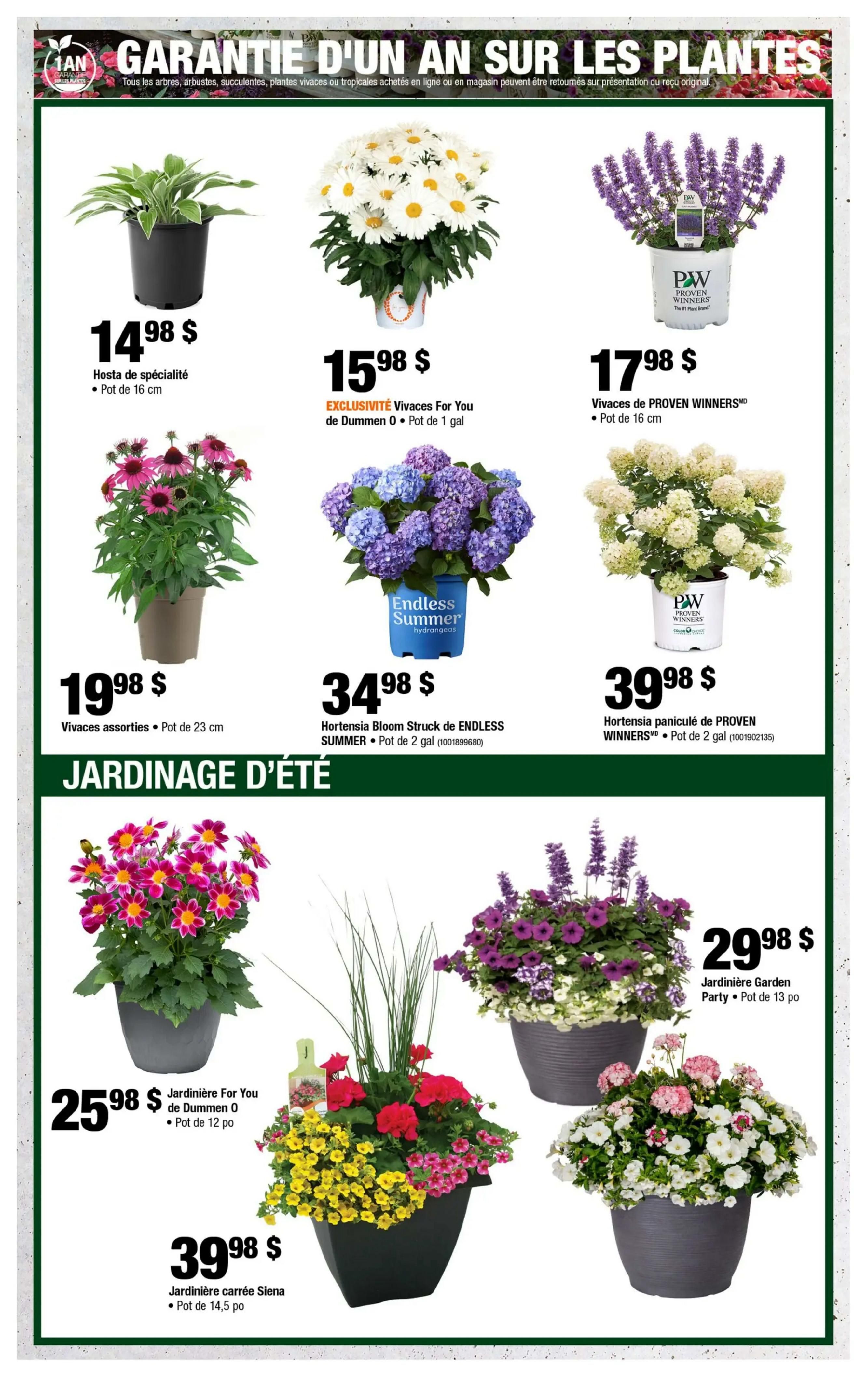Home Depot Quebec flyer, page 3. Features a 1-year guarantee on plants. Top row: Specialty Hosta in a 16 cm pot for $14.98, 'Vivaces For You' daisies by Dummen 0 in a 1-gallon pot for $15.98, and Proven Winners lavender in a 16 cm pot for $17.98. Middle row: Assorted perennials in a 23 cm pot for $19.98, Endless Summer hydrangeas in a 2-gallon pot for $34.98, and Proven Winners panicle hydrangeas in a 2-gallon pot for $39.98. Bottom section titled 'Summer Gardening': Jardinier For You de Dummen 0 planter in a 12-inch pot for $25.98, Jardinier carrée Siena in a 14.5 cm pot for $39.98, Jardinier Garden Party in a 13-inch pot for $29.98.