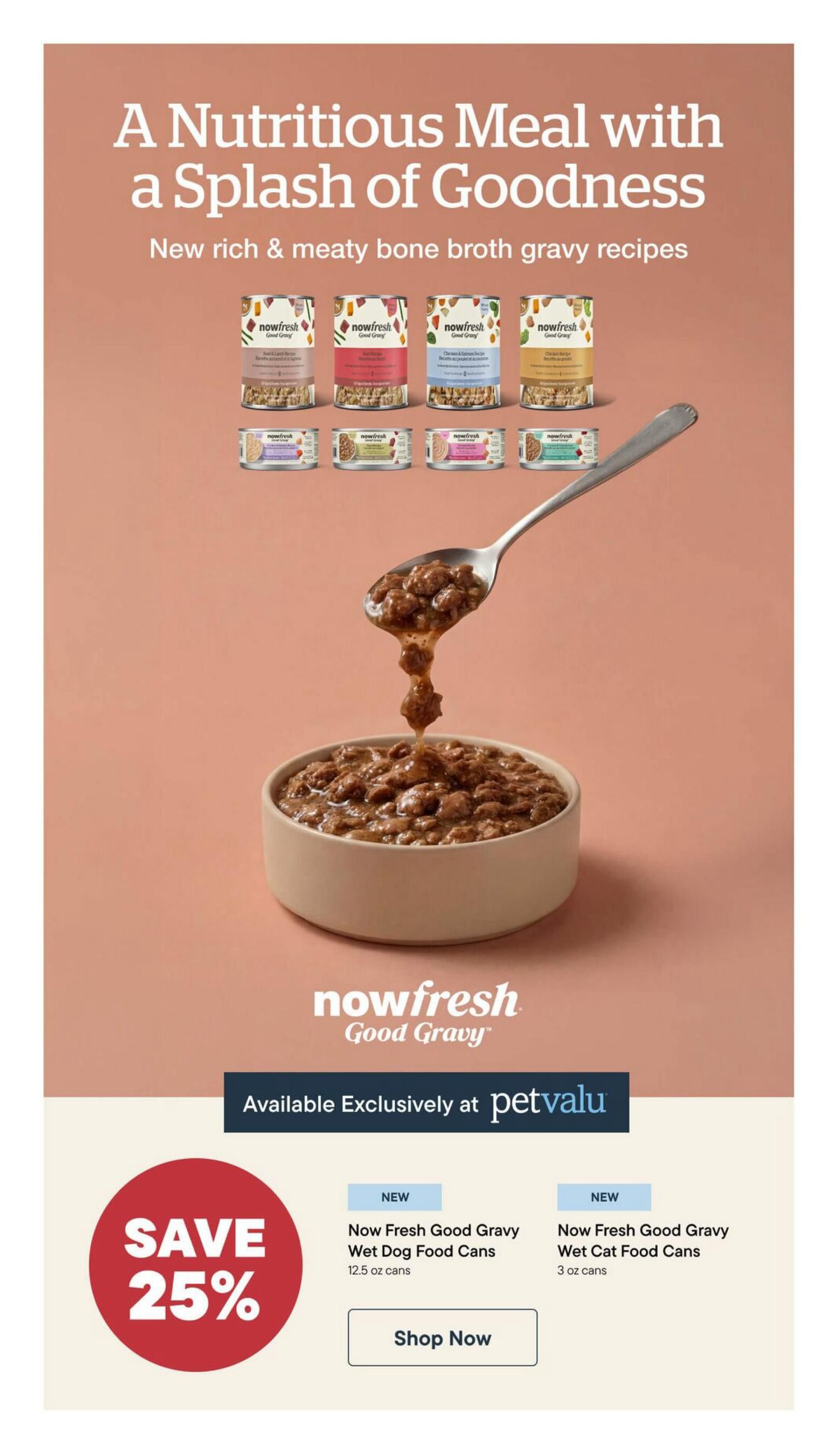 Pet Valu flyer page 10 featuring Now Fresh Good Gravy wet food for dogs and cats. The page highlights a nutritious meal with a splash of goodness, showcasing new rich & meaty bone broth gravy recipes. Several varieties of Now Fresh Good Gravy cans are displayed. A large red circle announces 'SAVE 25%'. Below, new Now Fresh Good Gravy Wet Dog Food Cans in 12.5 oz size and Now Fresh Good Gravy Wet Cat Food Cans in 3 oz size are featured with 'Shop Now' buttons. The products are available exclusively at Pet Valu.